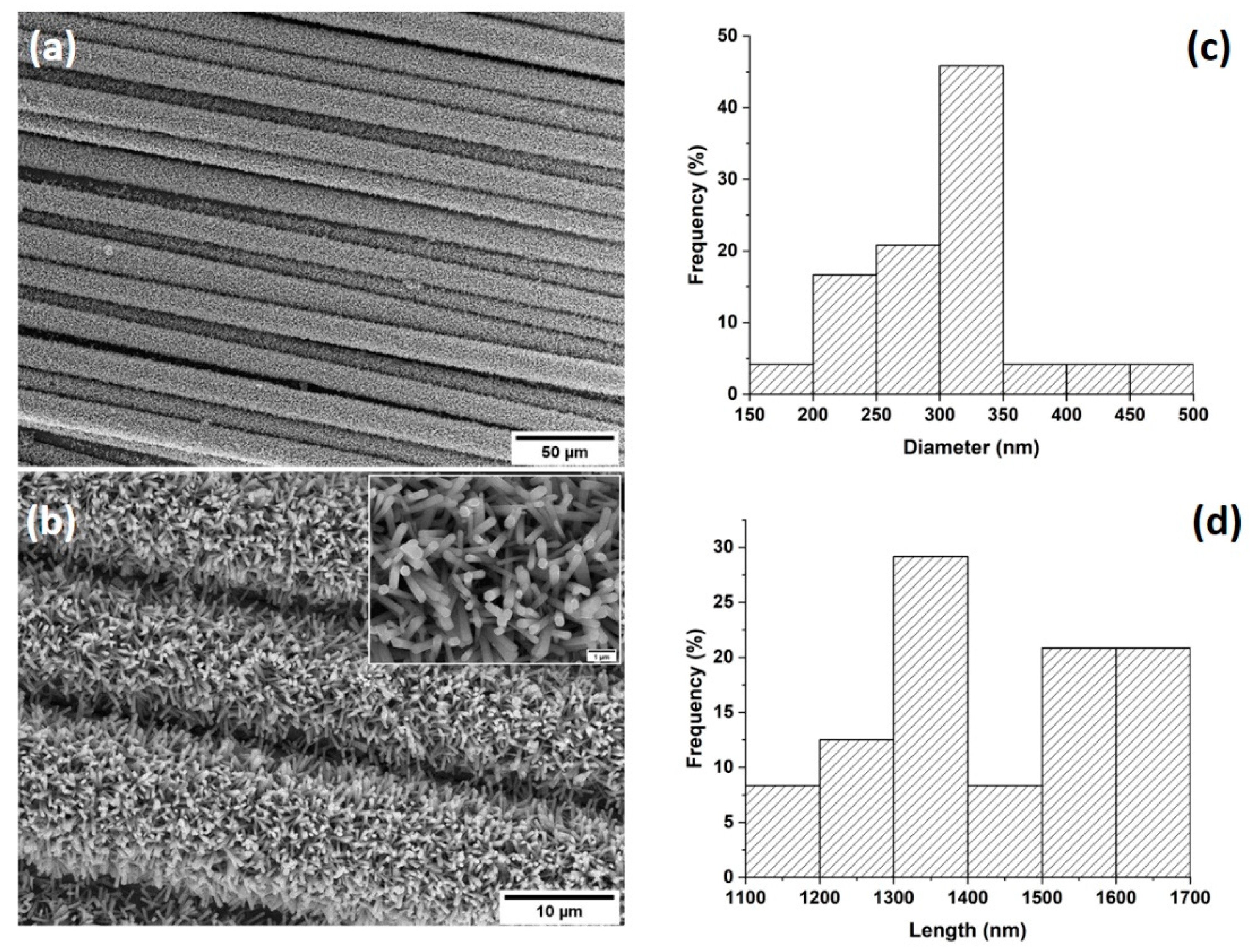 Biomolecules 11 00200 g001 Biomolecules 11 00200 g001