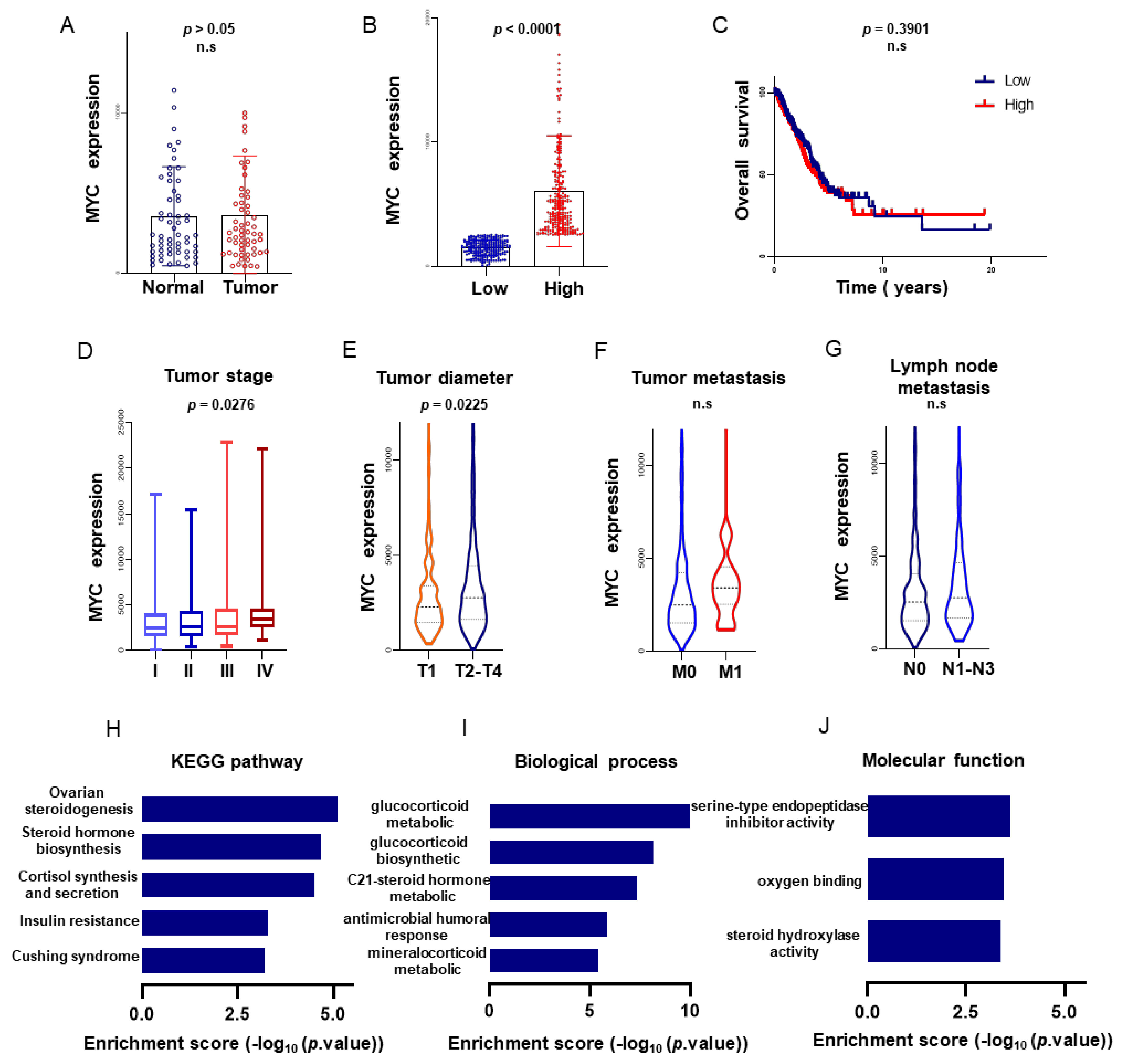Biomolecules 11 00203 g001 Biomolecules 11 00203 g001