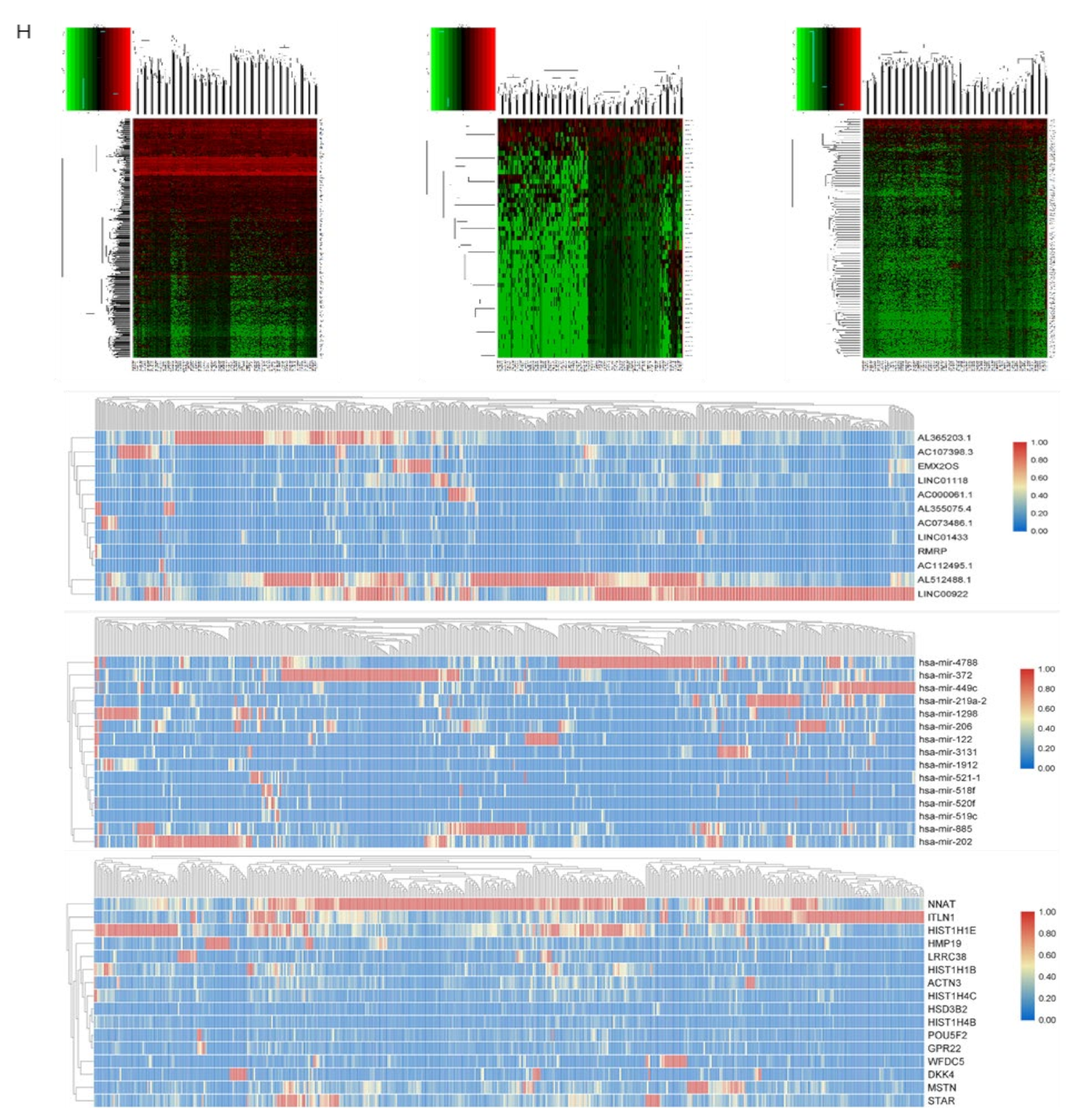 Biomolecules 11 00203 g002b Biomolecules 11 00203 g002b