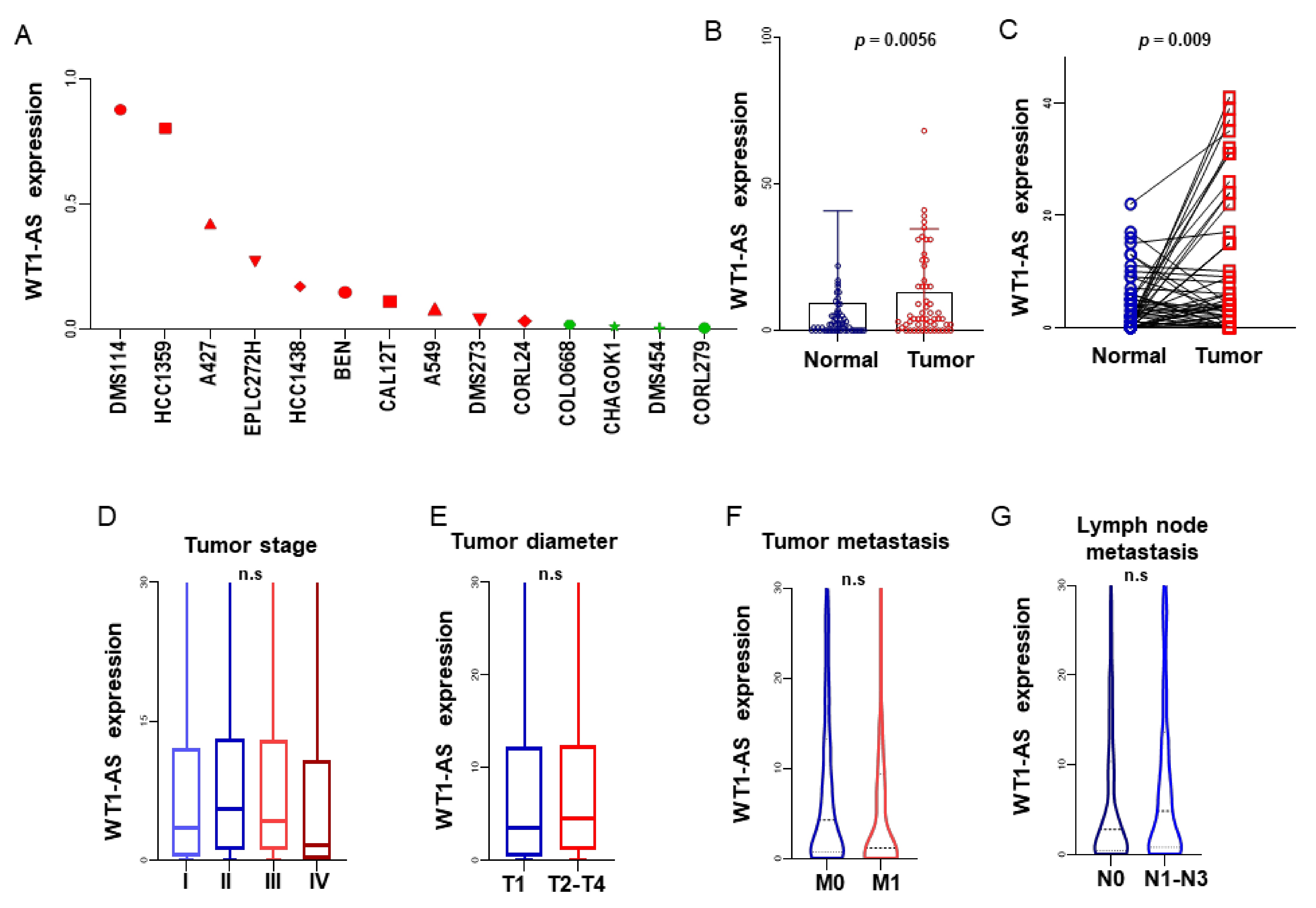 Biomolecules 11 00203 g003 Biomolecules 11 00203 g003