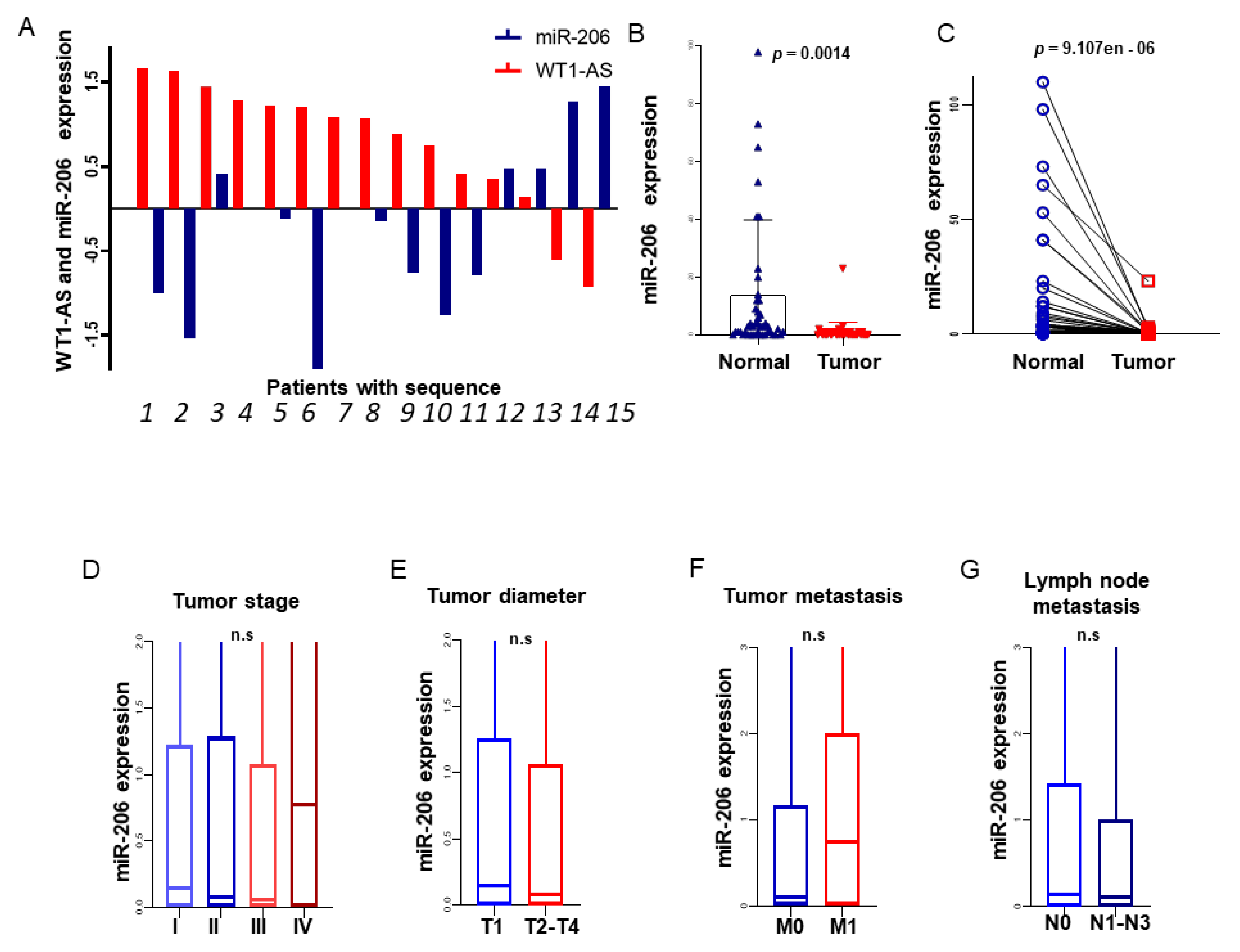 Biomolecules 11 00203 g004 Biomolecules 11 00203 g004