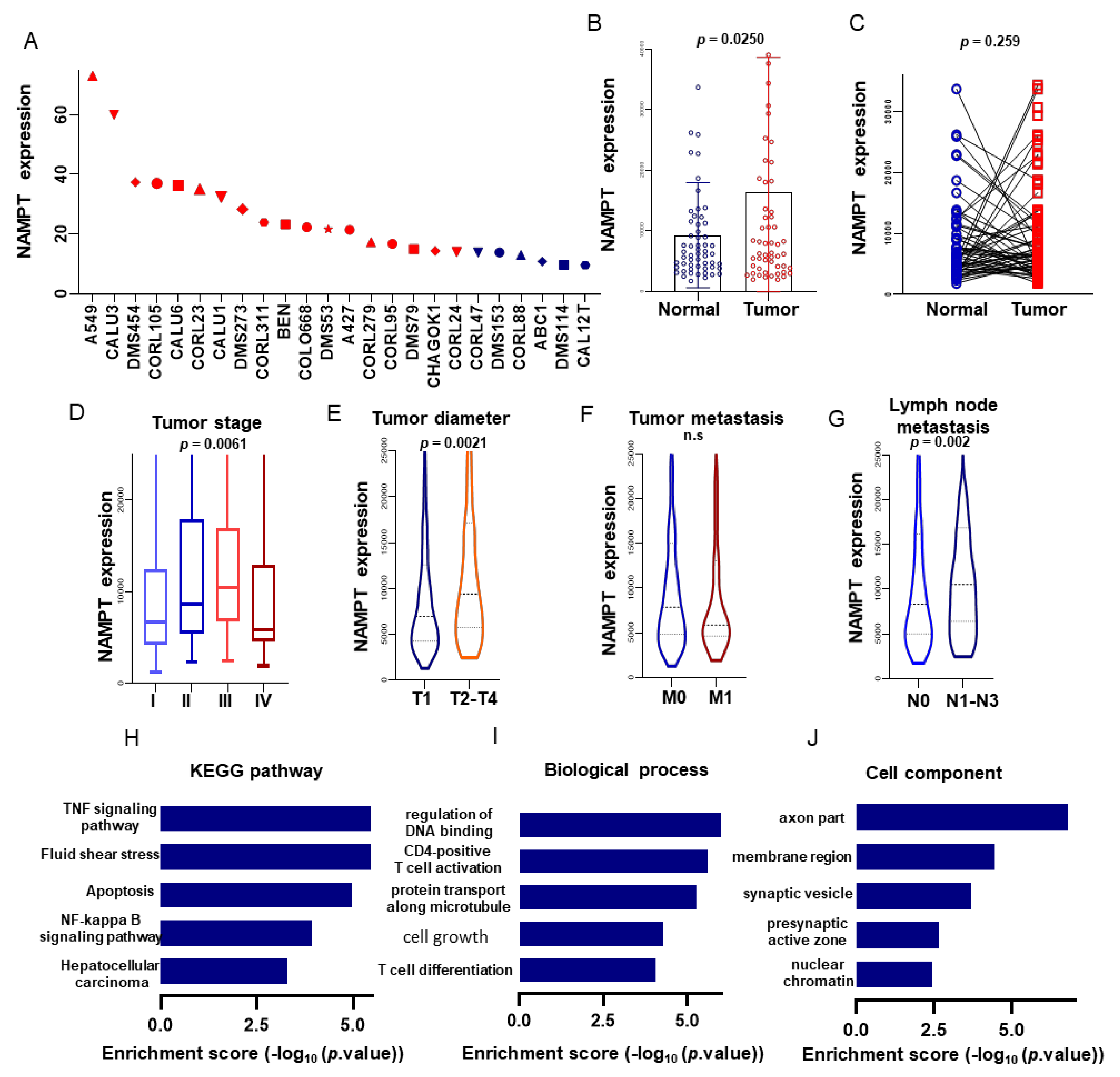 Biomolecules 11 00203 g005 Biomolecules 11 00203 g005