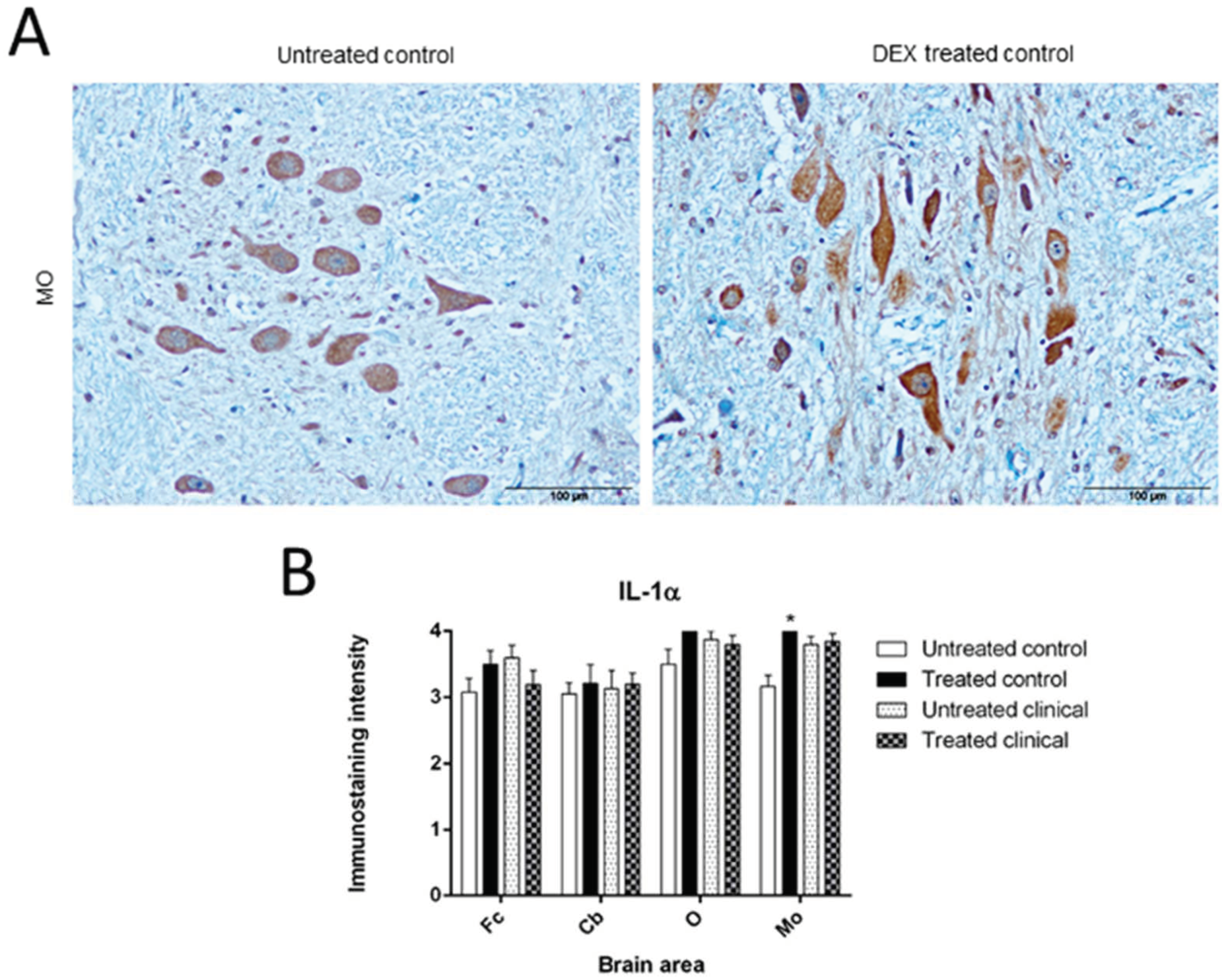Biomolecules 11 00204 g001 Biomolecules 11 00204 g001