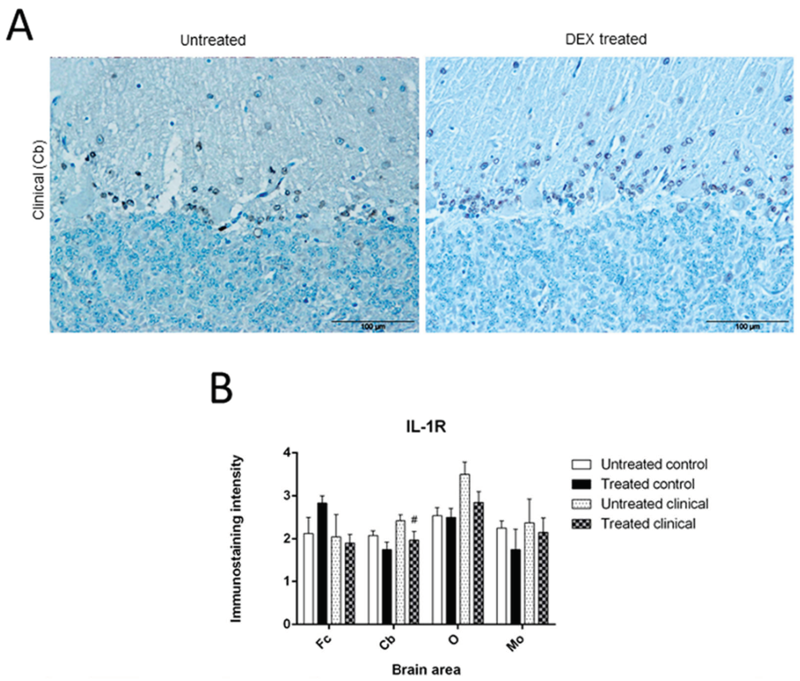 Biomolecules 11 00204 g003 Biomolecules 11 00204 g003