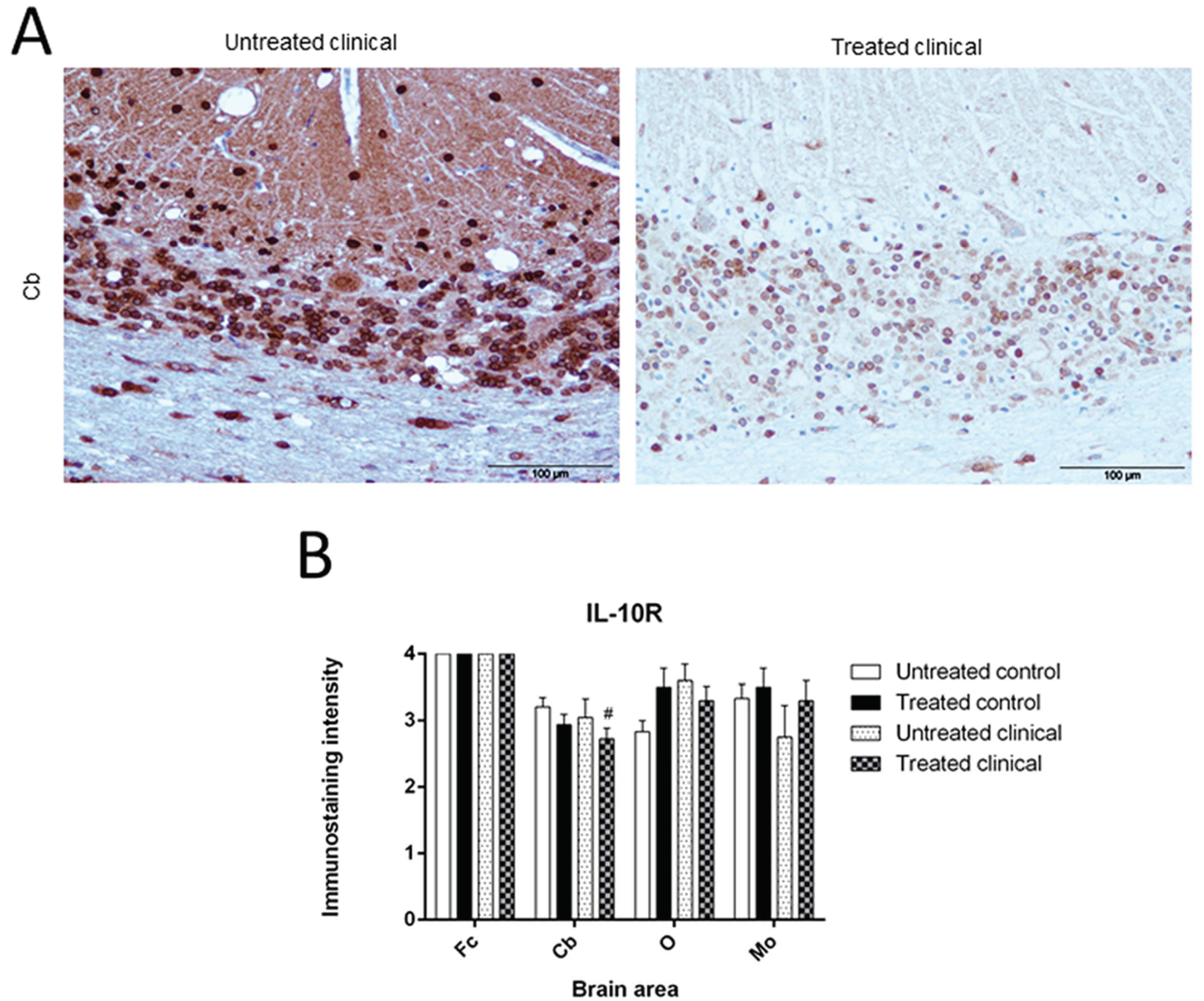 Biomolecules 11 00204 g006 Biomolecules 11 00204 g006