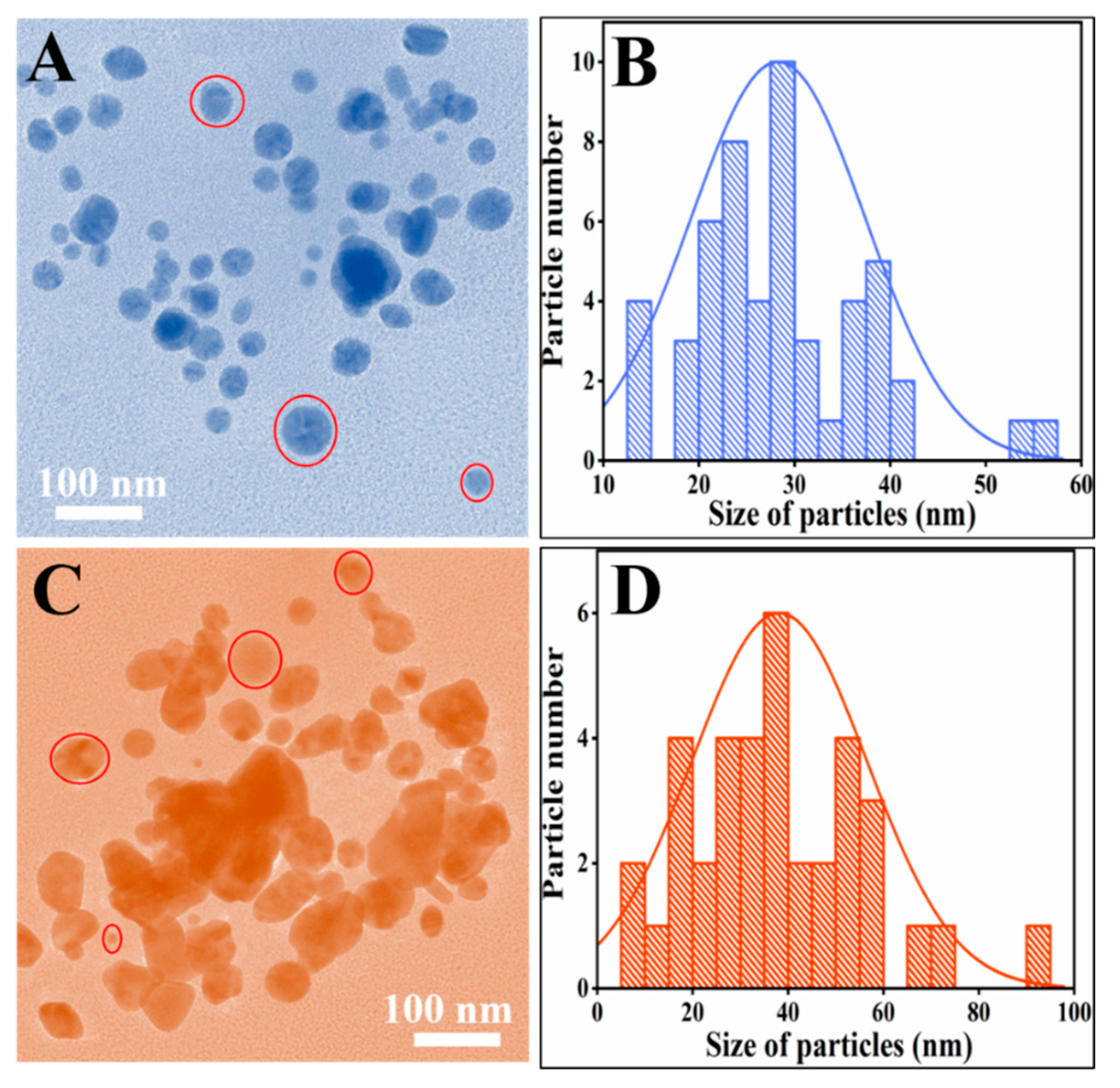 Biomolecules 11 00206 g004