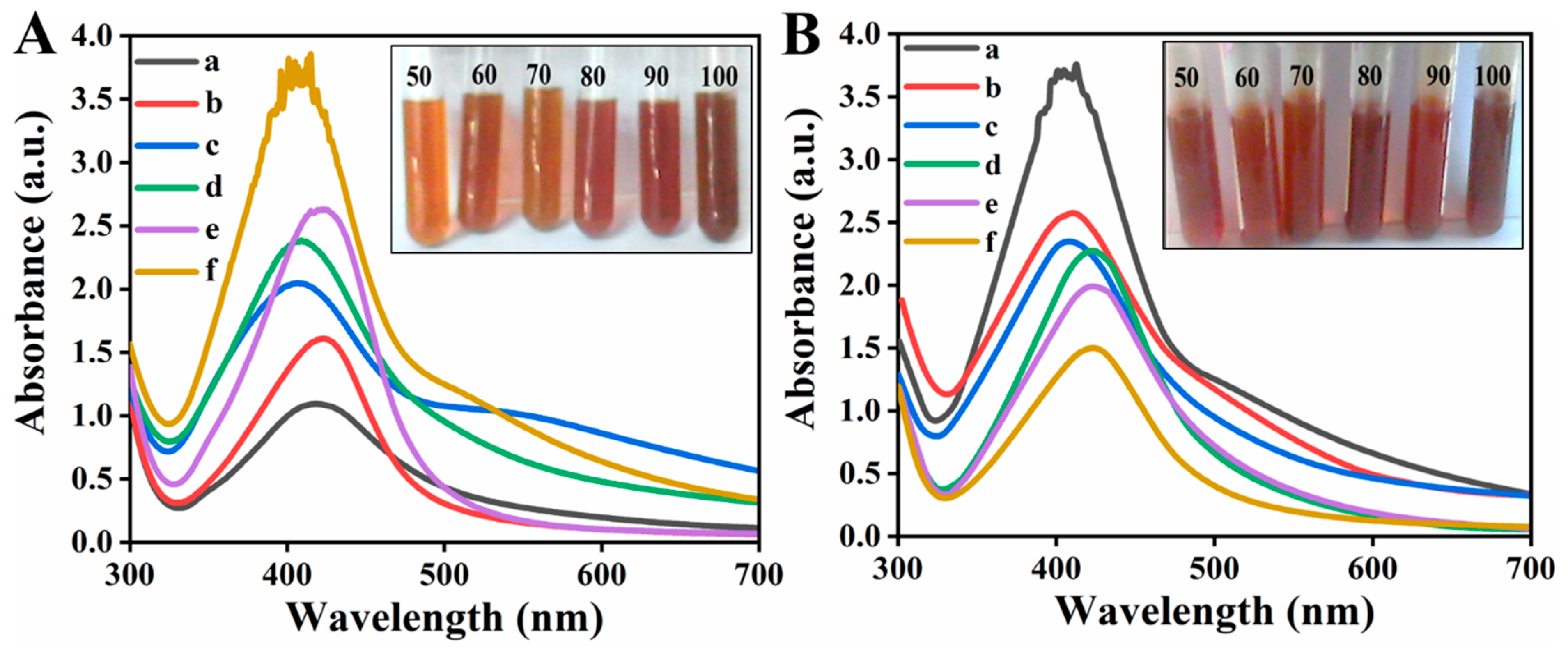 Biomolecules 11 00206 g005