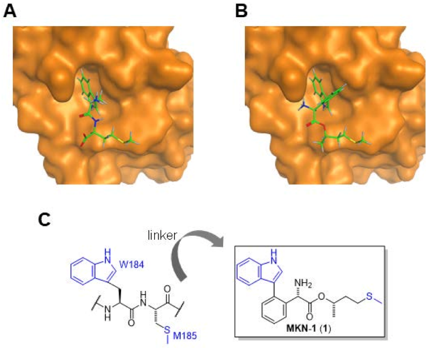 Biomolecules 11 00208 g002