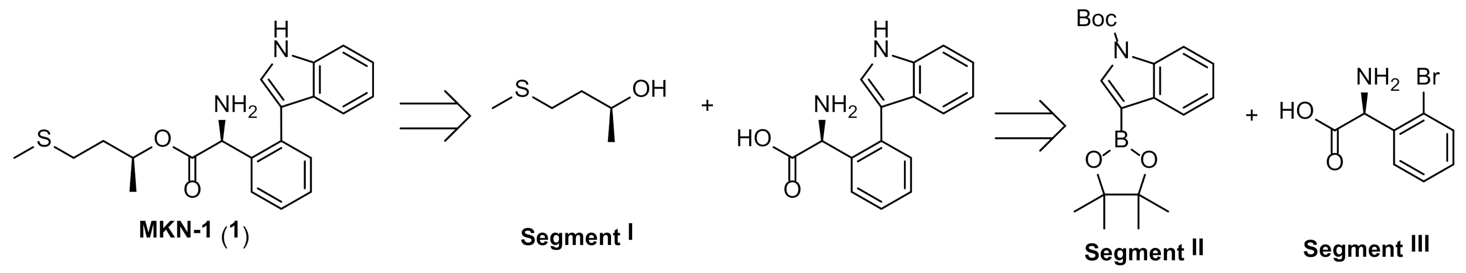 Biomolecules 11 00208 sch001
