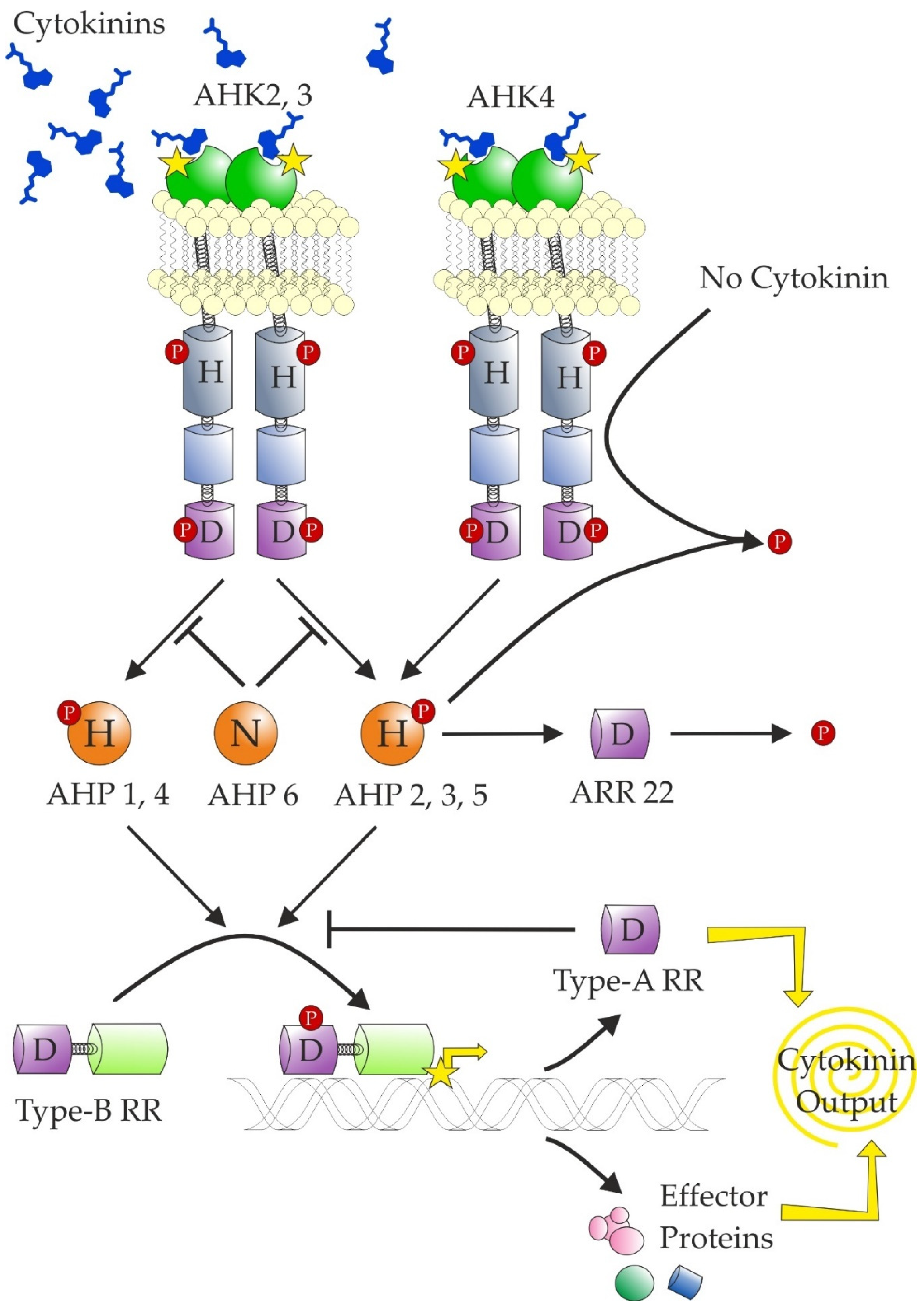 Biomolecules 11 00209 g006