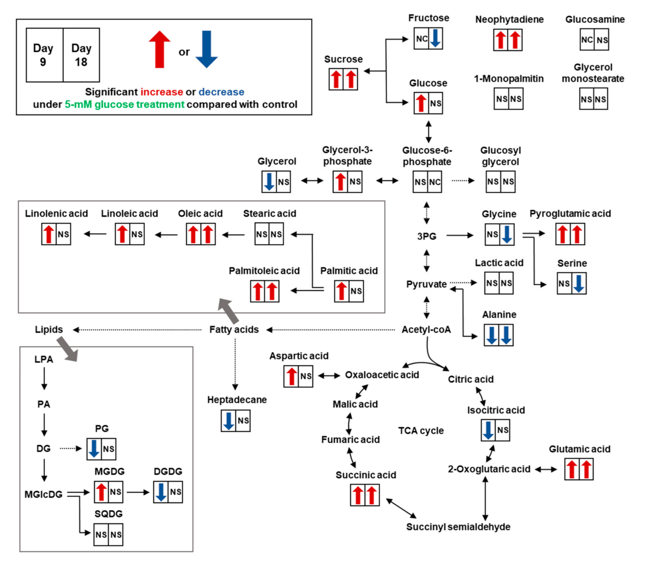 Biomolecules 11 00214 g003 Biomolecules 11 00214 g003