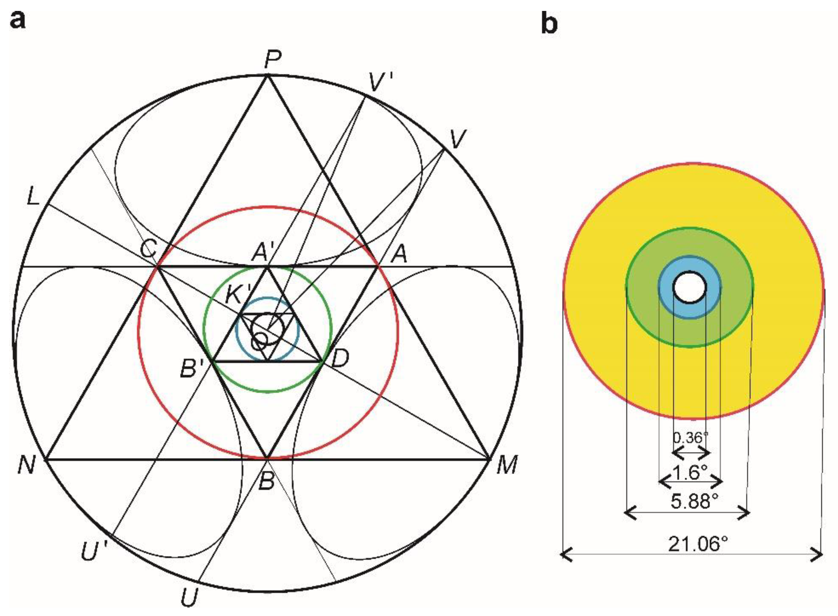 Biomolecules 11 00215 g004