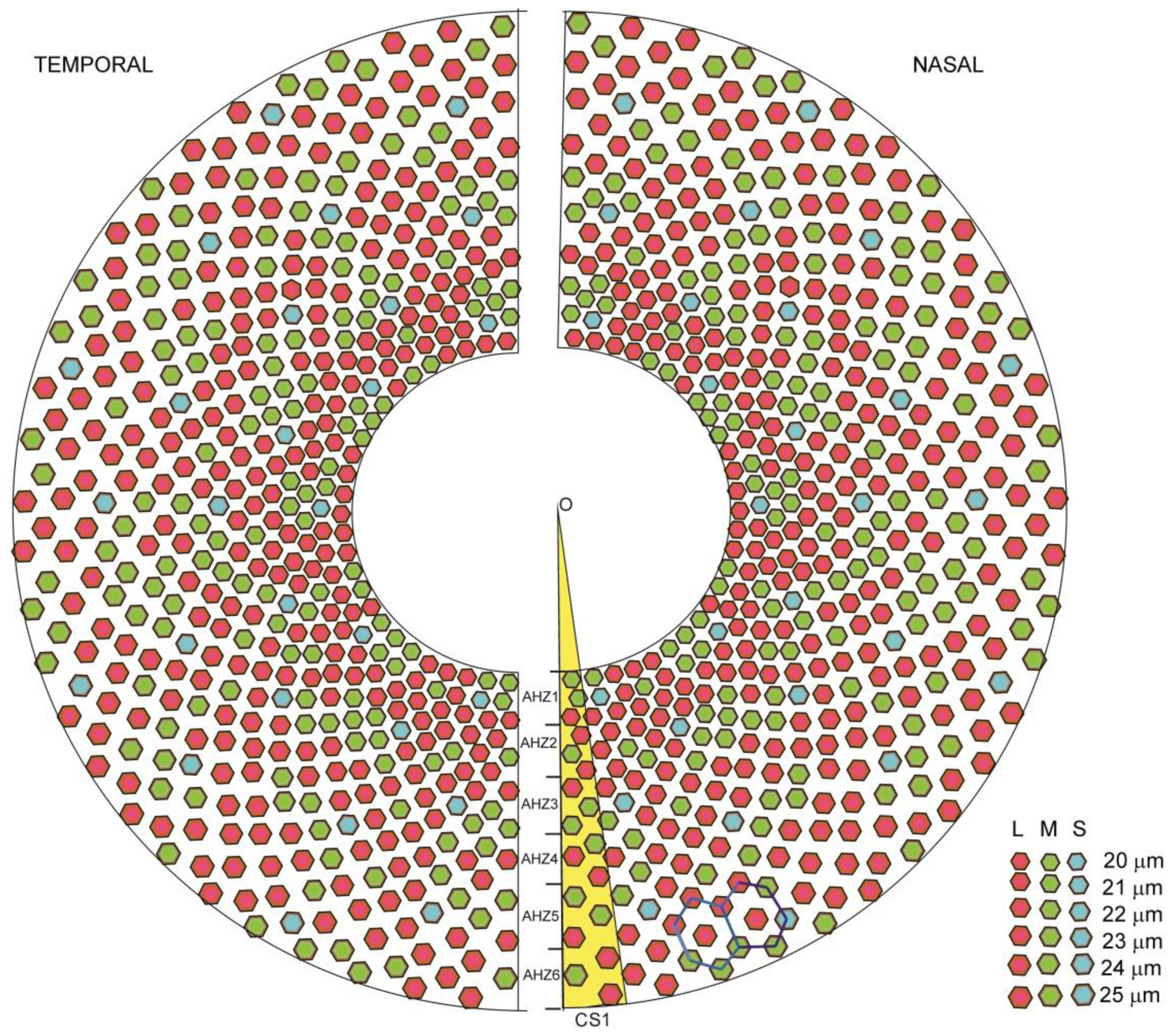 Biomolecules 11 00215 g007