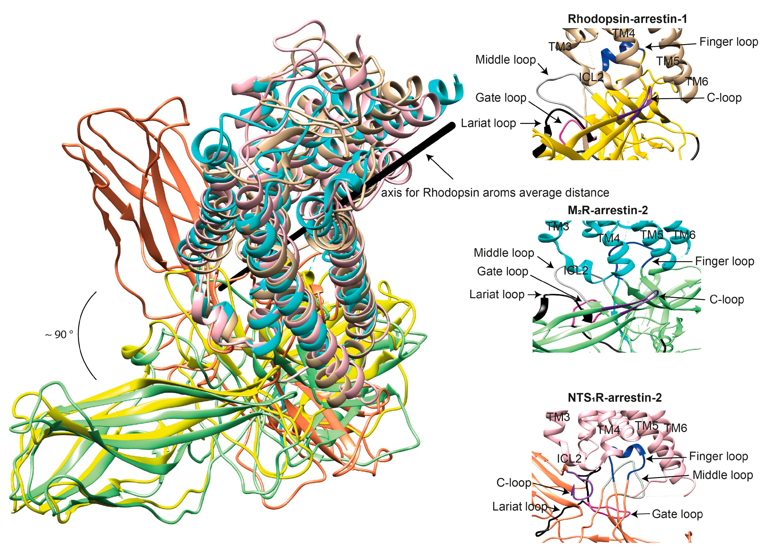 Biomolecules 11 00218 g003 Biomolecules 11 00218 g003