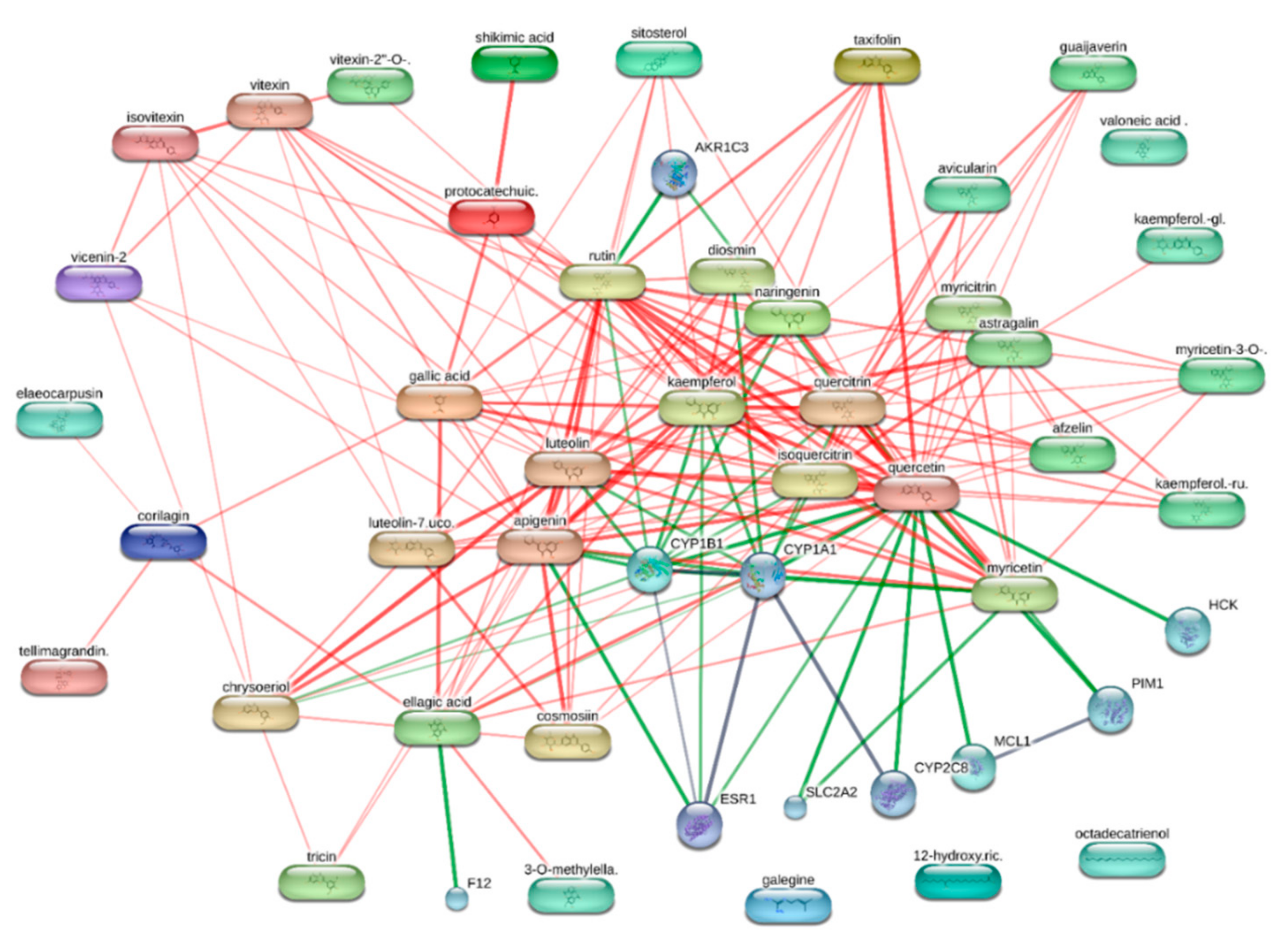 Biomolecules 11 00219 g001 Biomolecules 11 00219 g001
