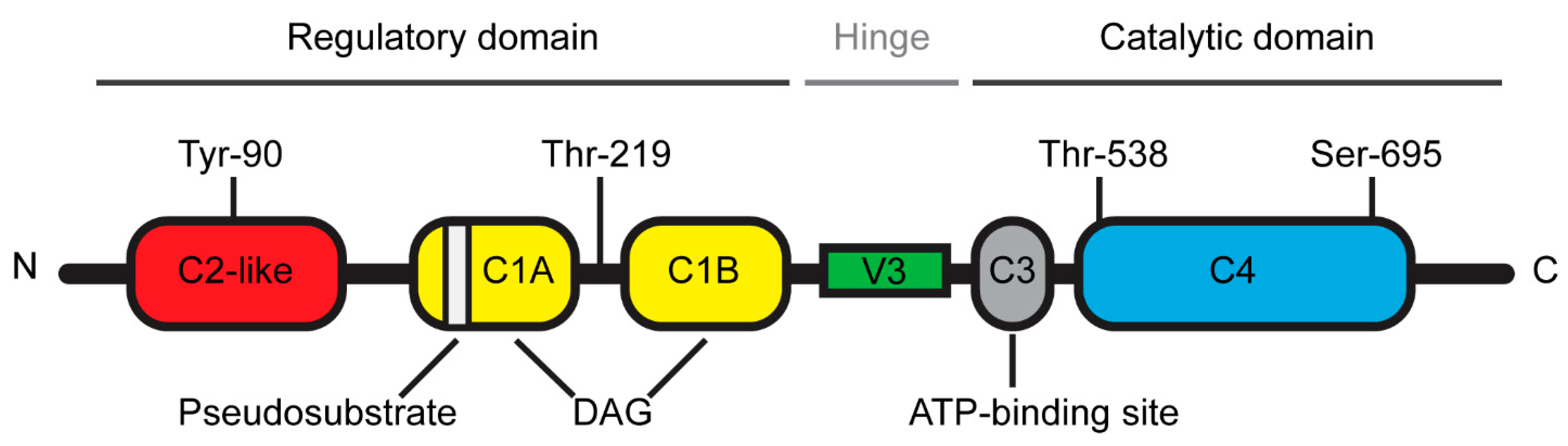 Biomolecules 11 00221 g001 Biomolecules 11 00221 g001