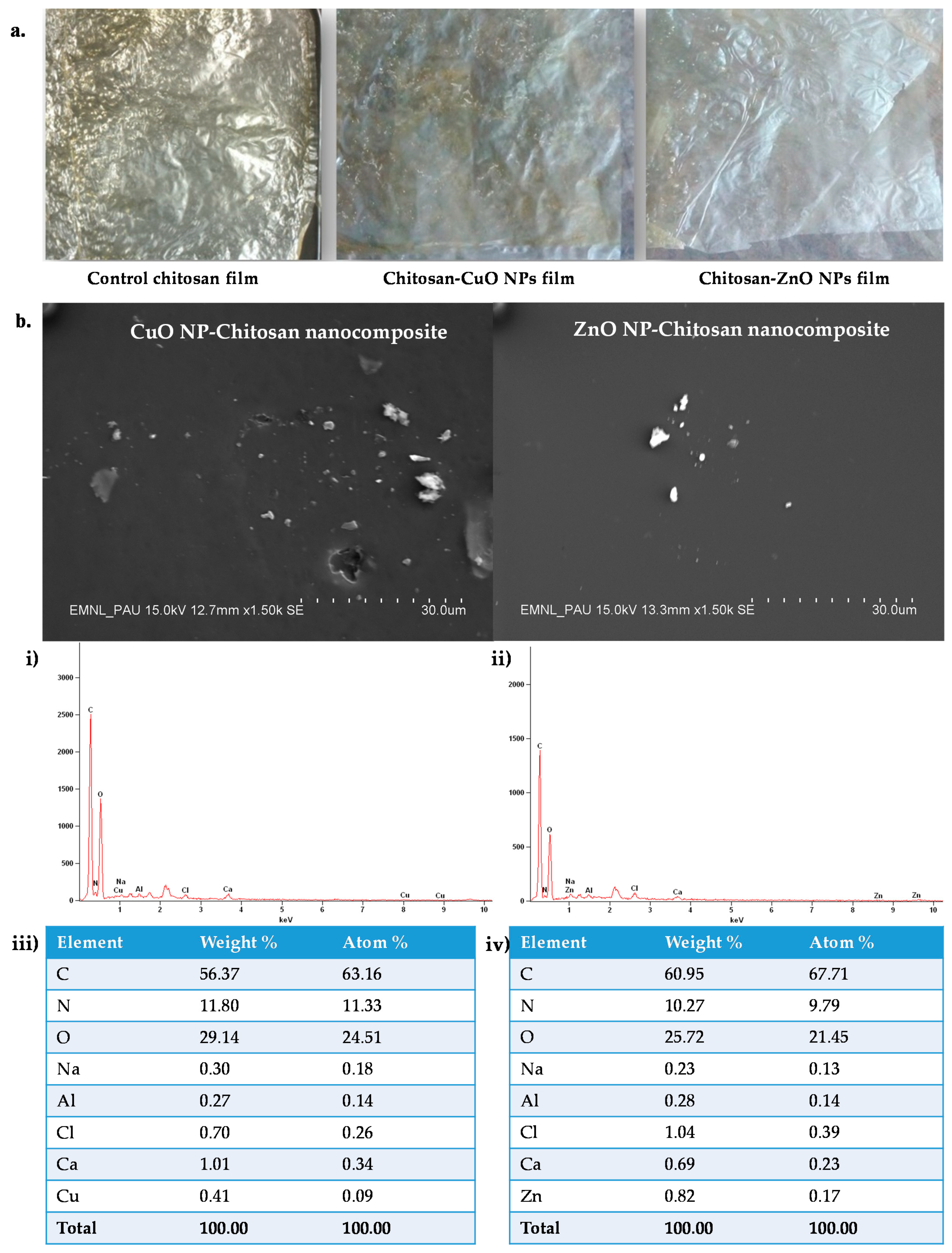 Biomolecules 11 00224 g005 Biomolecules 11 00224 g005