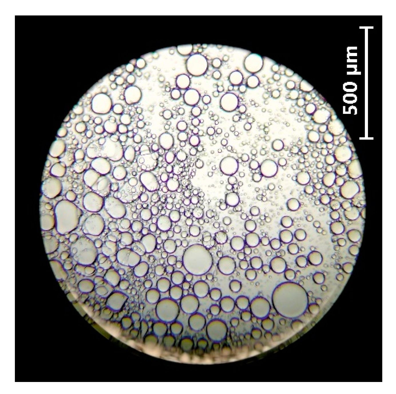 Biomolecules 11 00225 g003