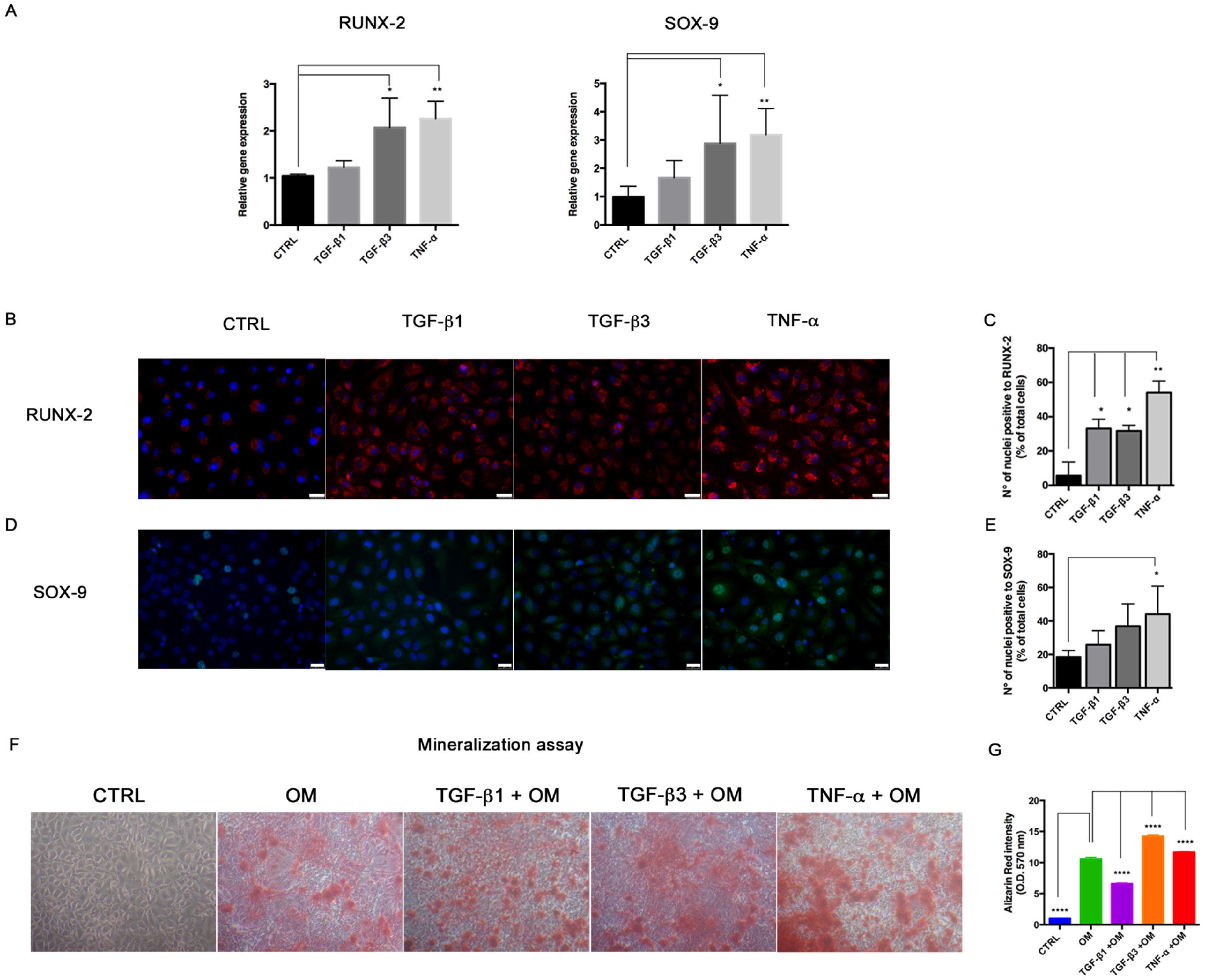 Biomolecules 11 00226 g005