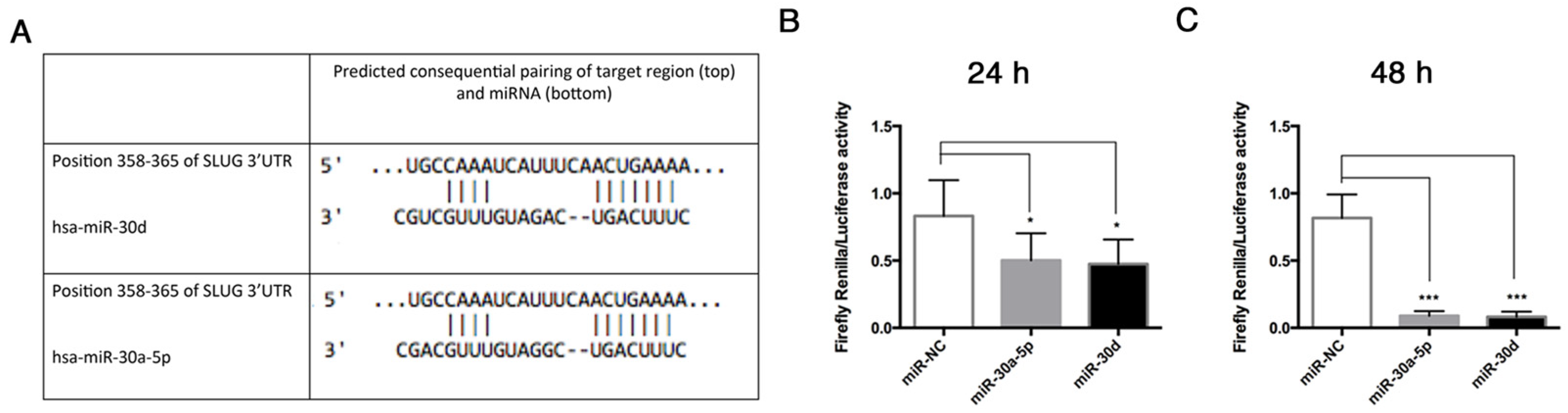 Biomolecules 11 00226 g009