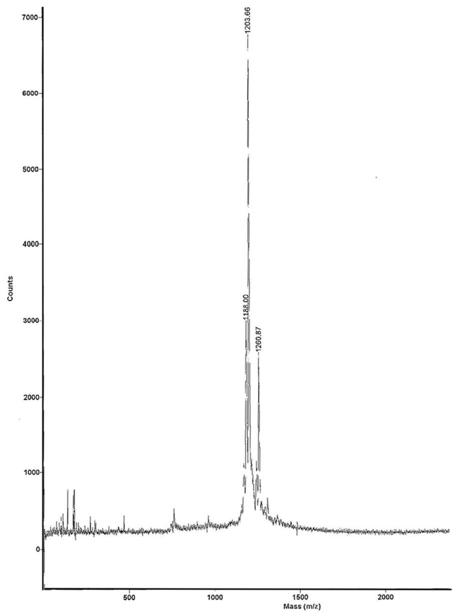Biomolecules 11 00232 g003 Biomolecules 11 00232 g003