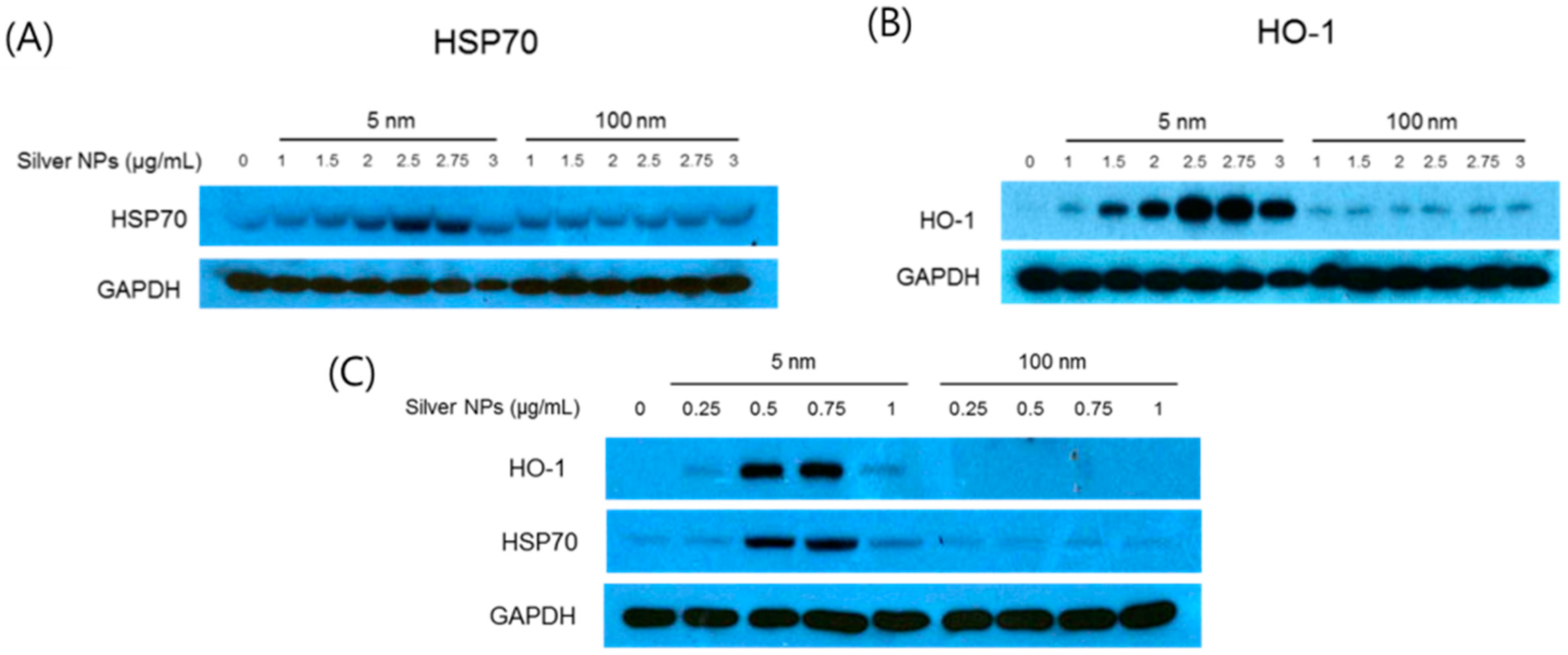 Biomolecules 11 00234 g007