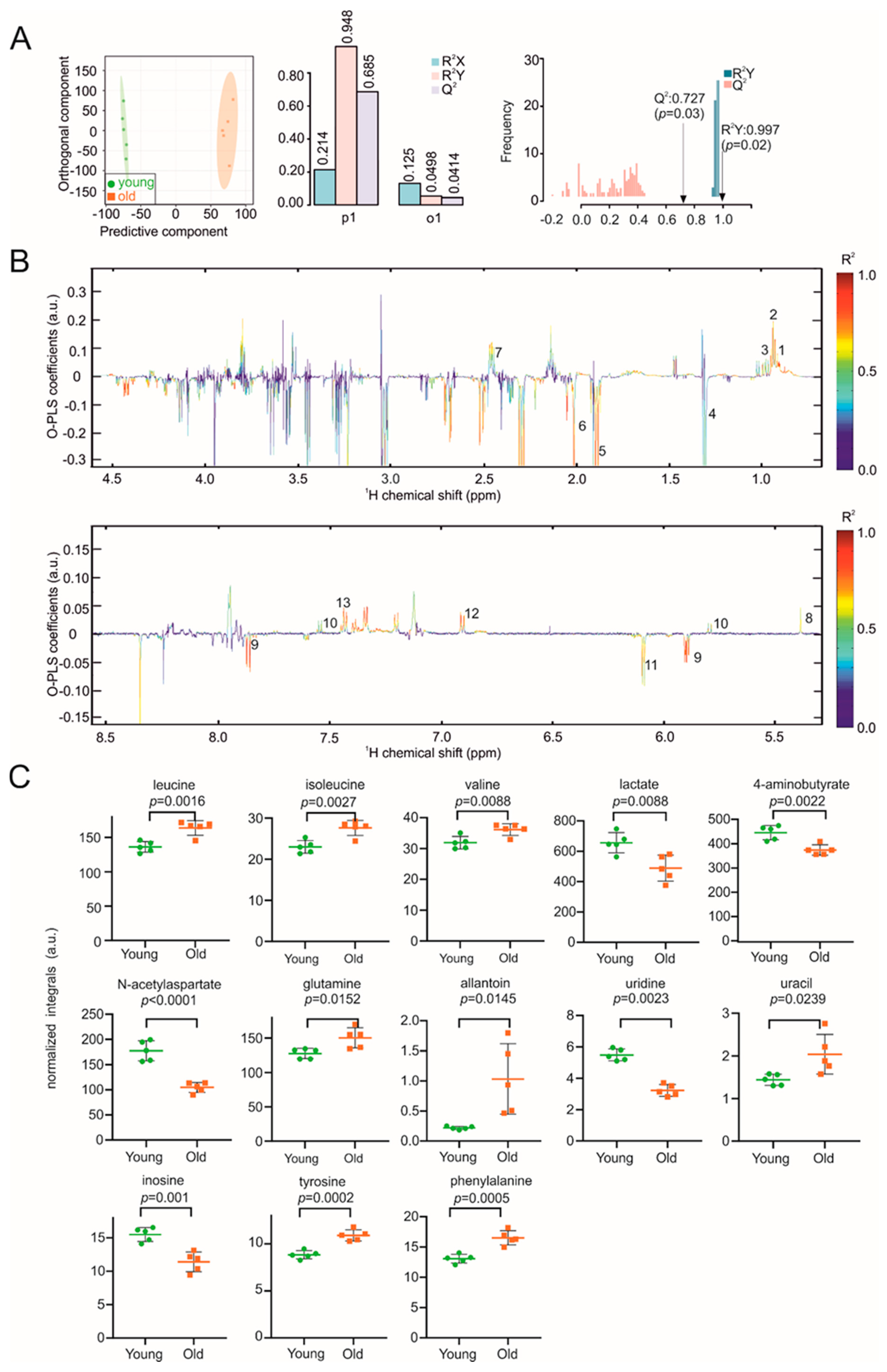 Biomolecules 11 00235 g001 Biomolecules 11 00235 g001