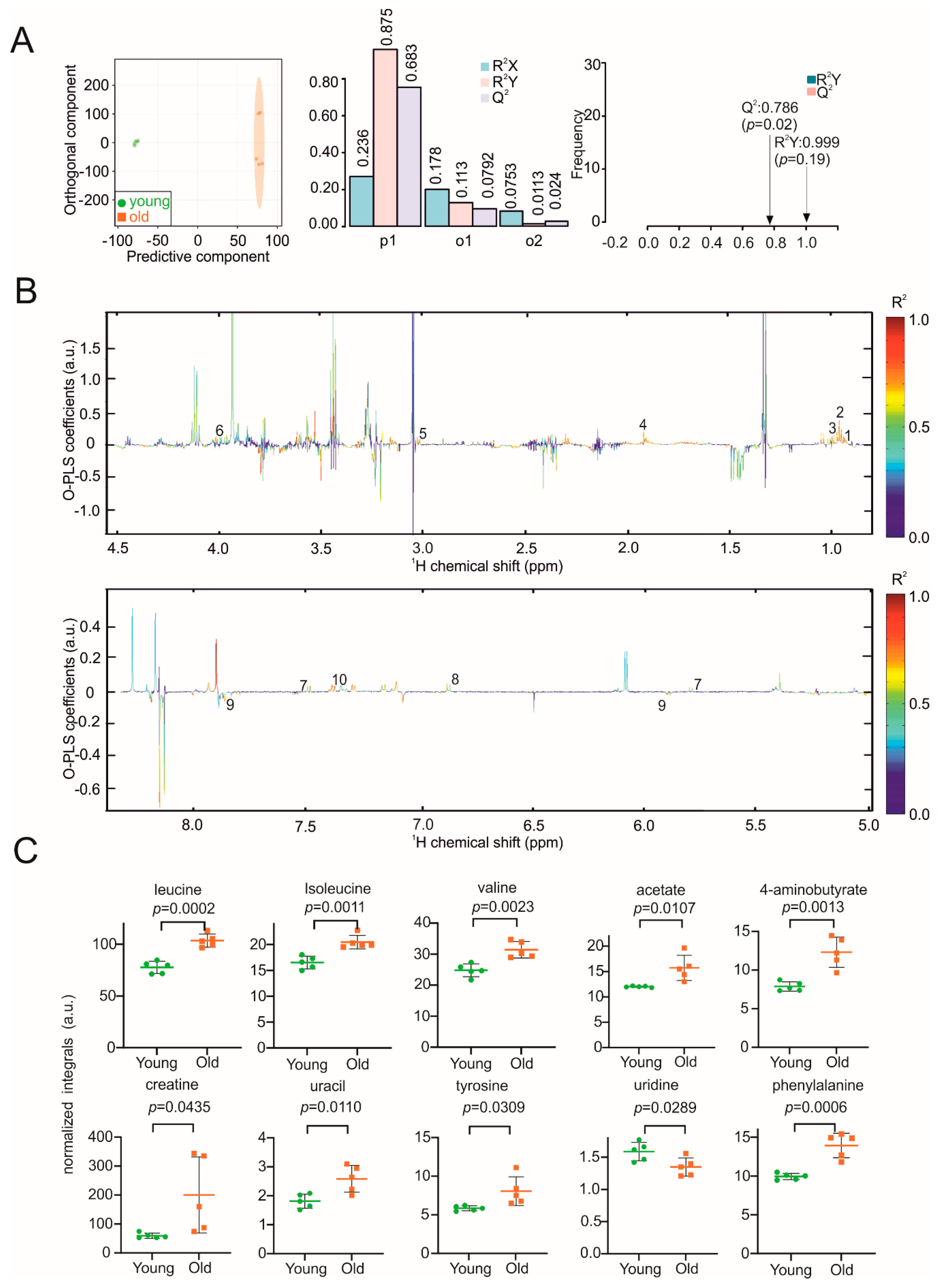Biomolecules 11 00235 g002 Biomolecules 11 00235 g002