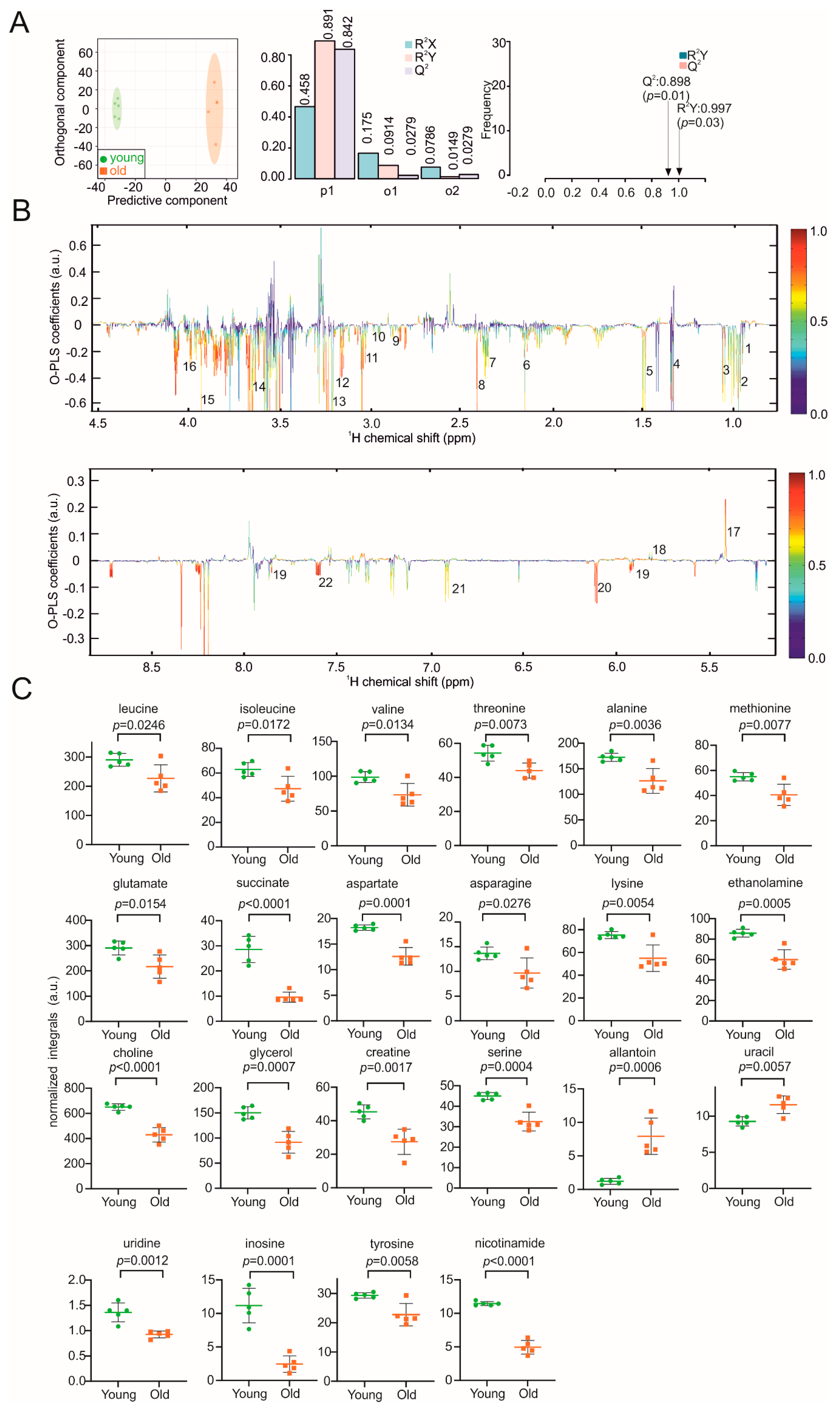 Biomolecules 11 00235 g003 Biomolecules 11 00235 g003