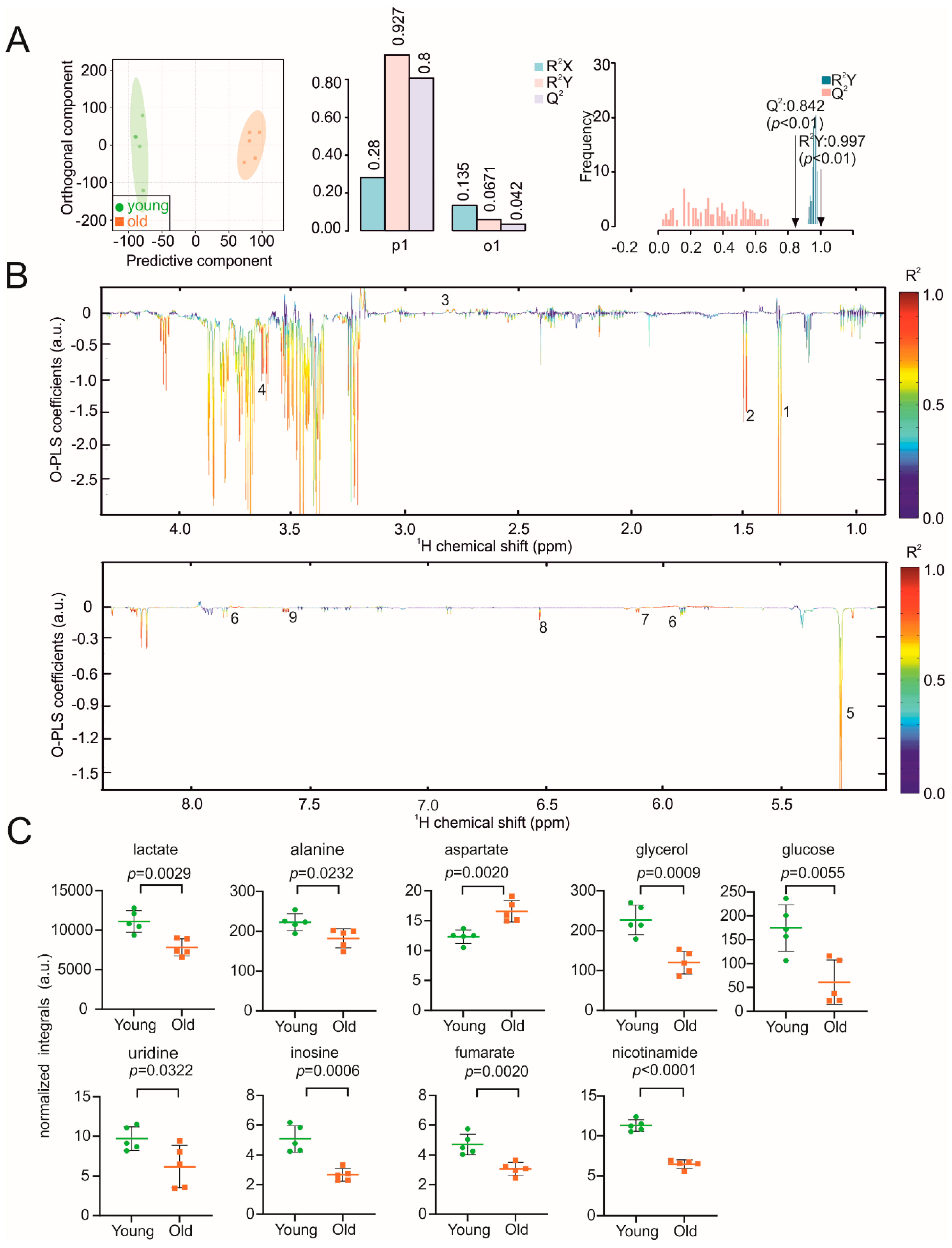 Biomolecules 11 00235 g004 Biomolecules 11 00235 g004