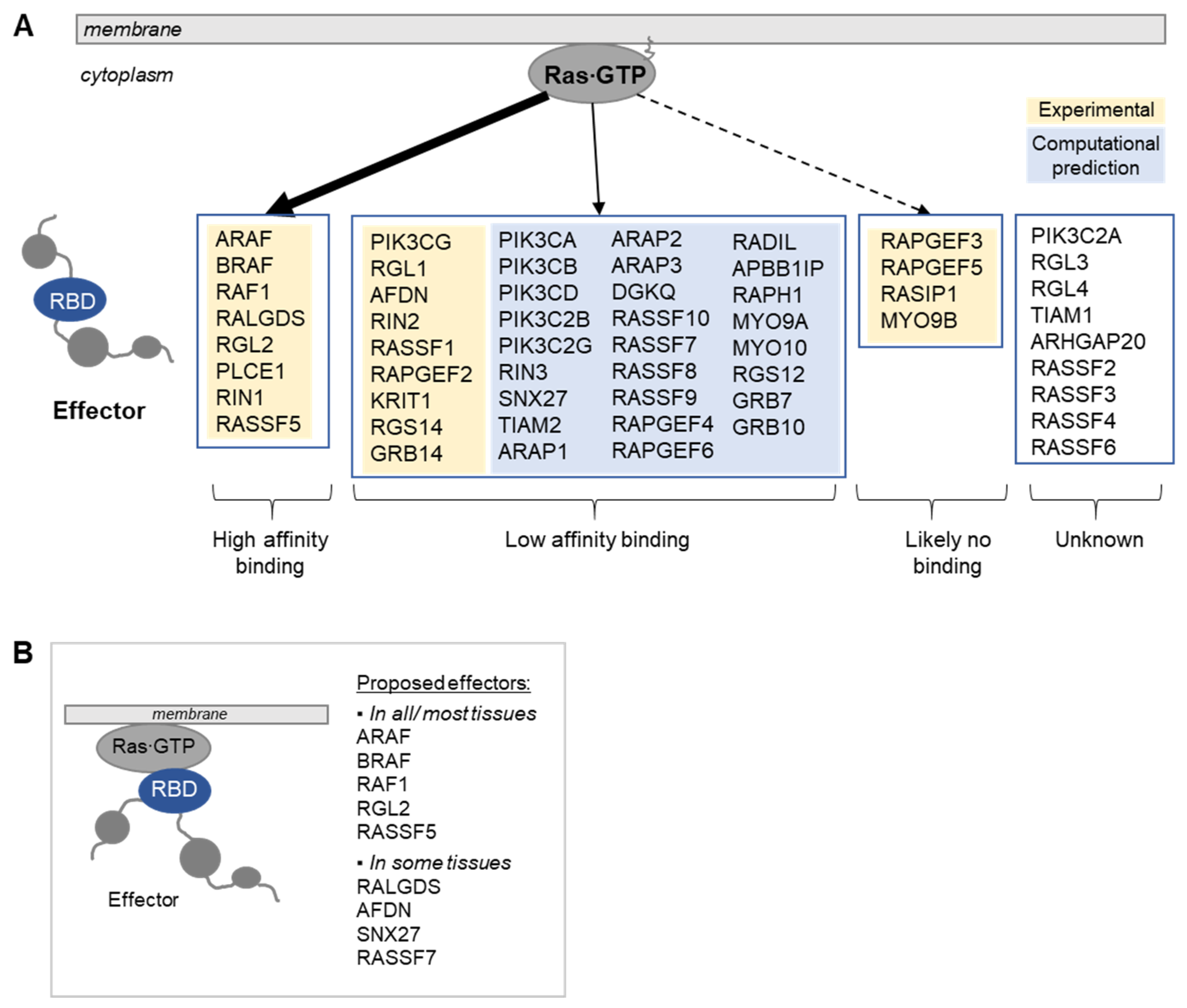 Biomolecules 11 00236 g002 Biomolecules 11 00236 g002