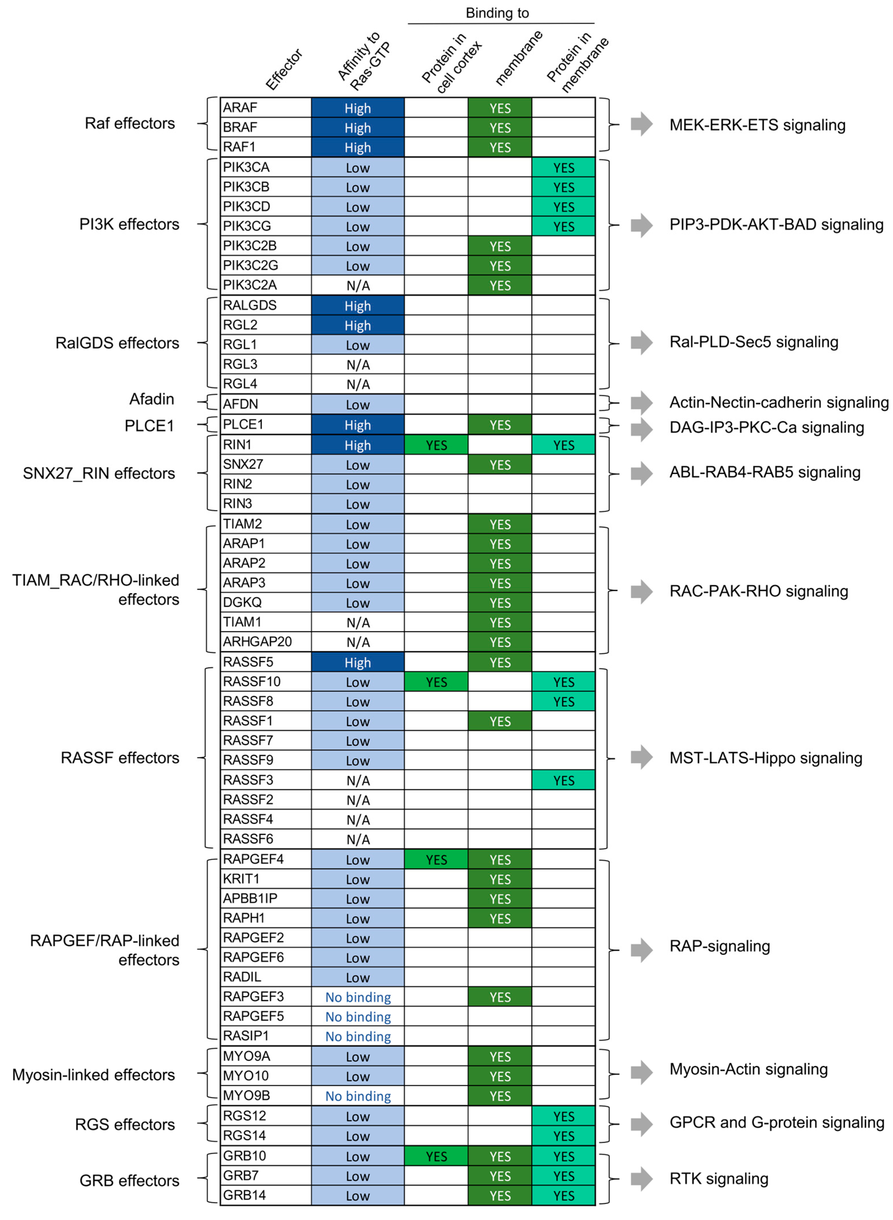 Biomolecules 11 00236 g004 Biomolecules 11 00236 g004