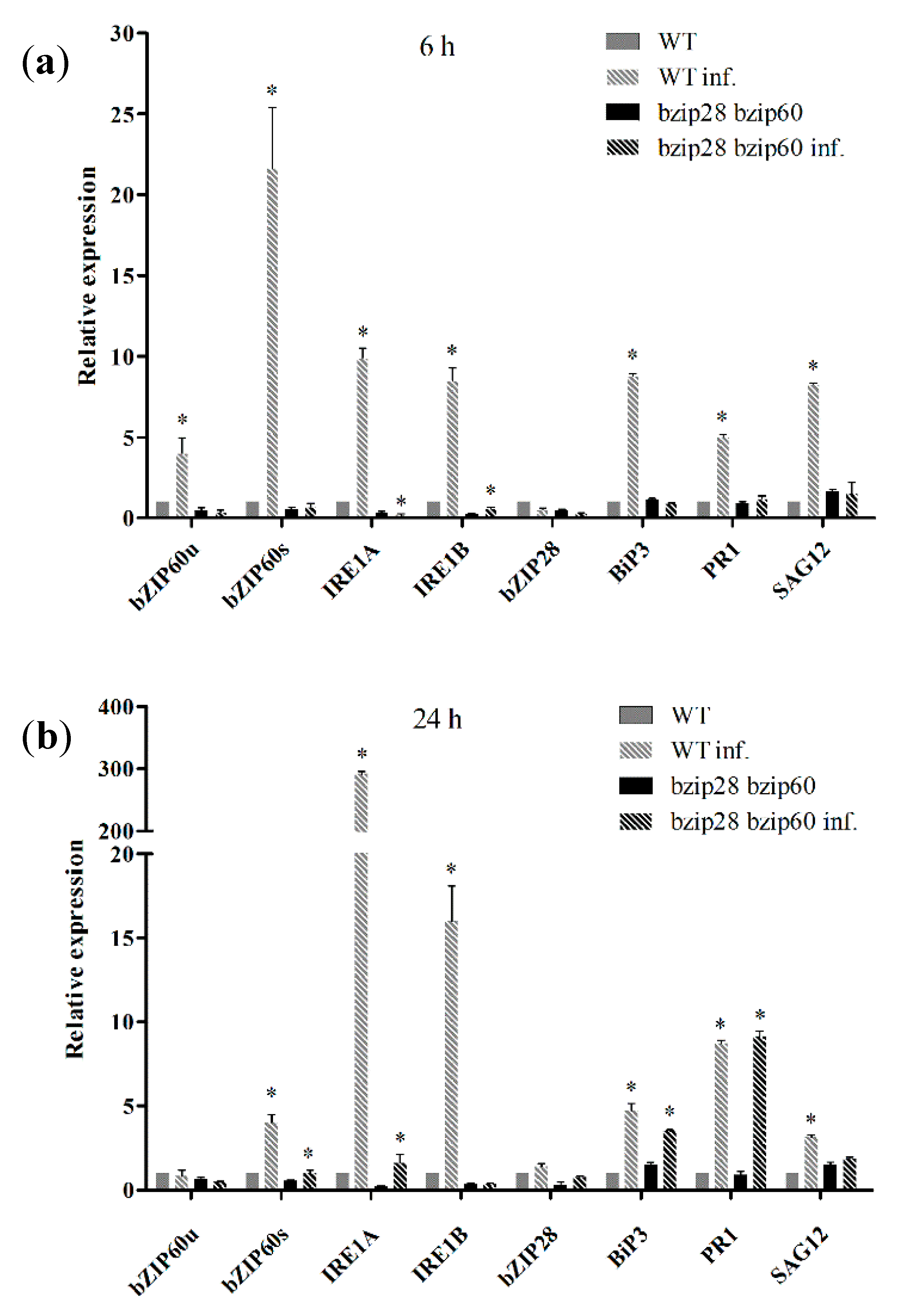 Biomolecules 11 00240 g004 Biomolecules 11 00240 g004