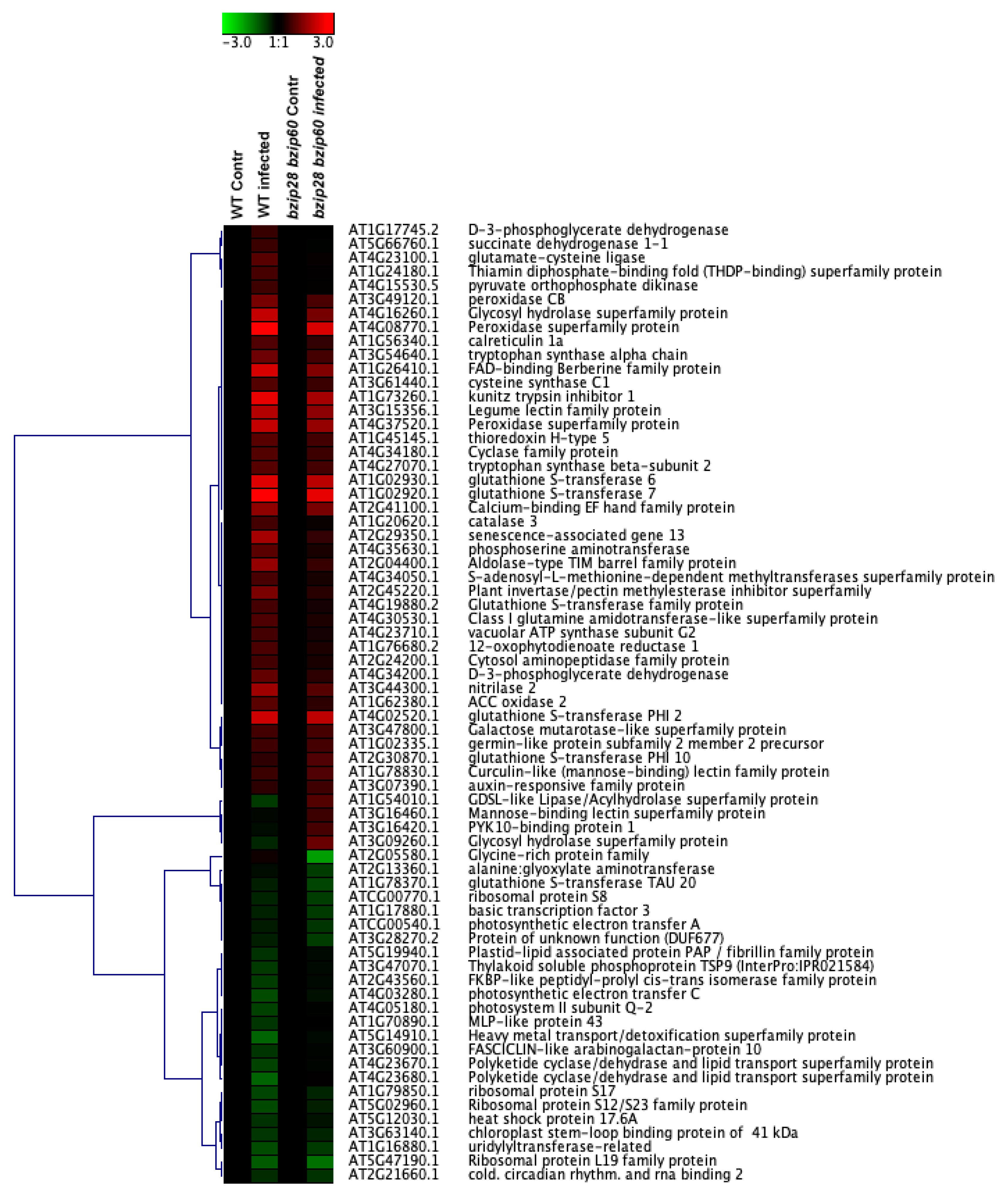 Biomolecules 11 00240 g007 Biomolecules 11 00240 g007