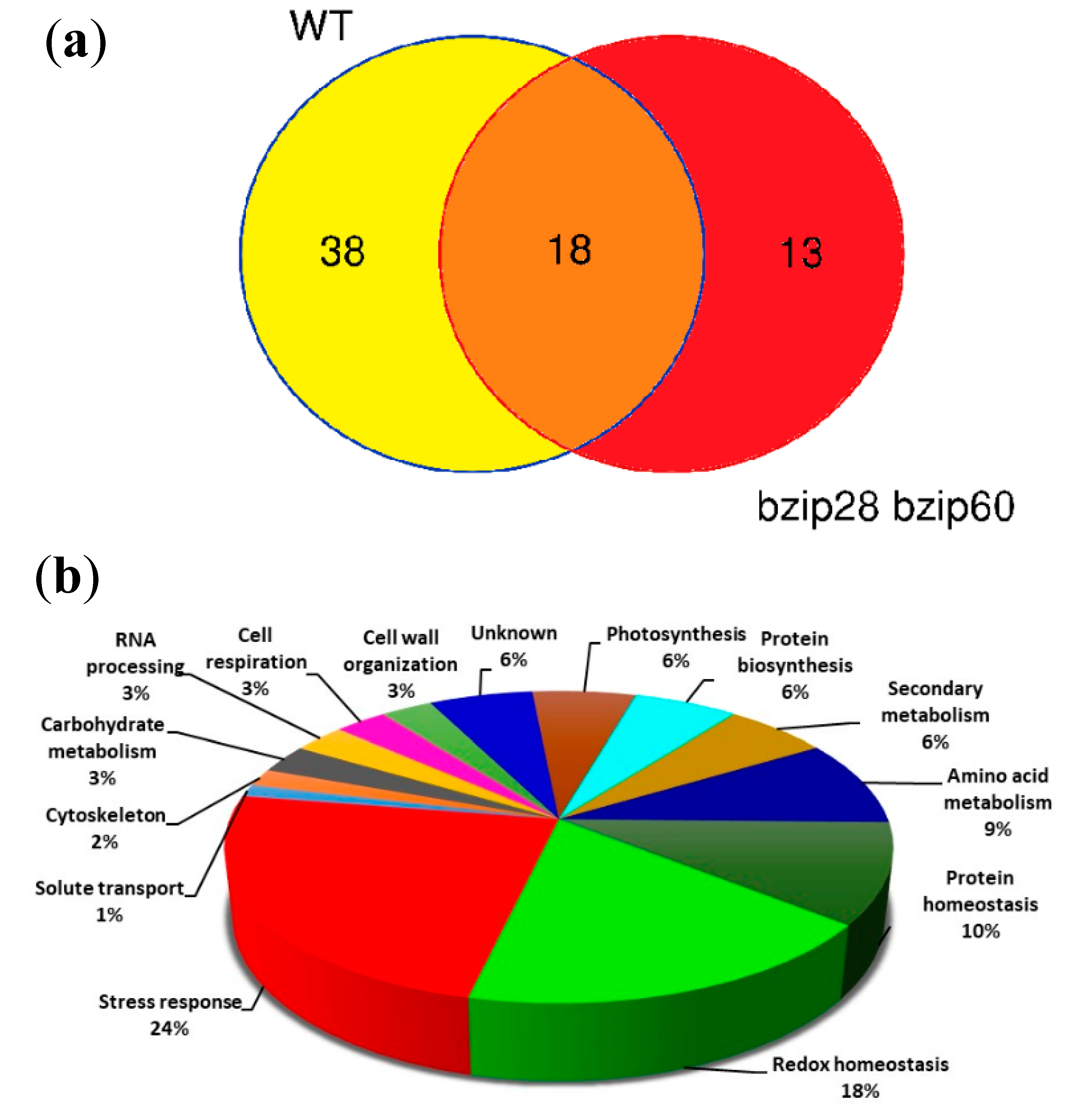 Biomolecules 11 00240 g008 Biomolecules 11 00240 g008