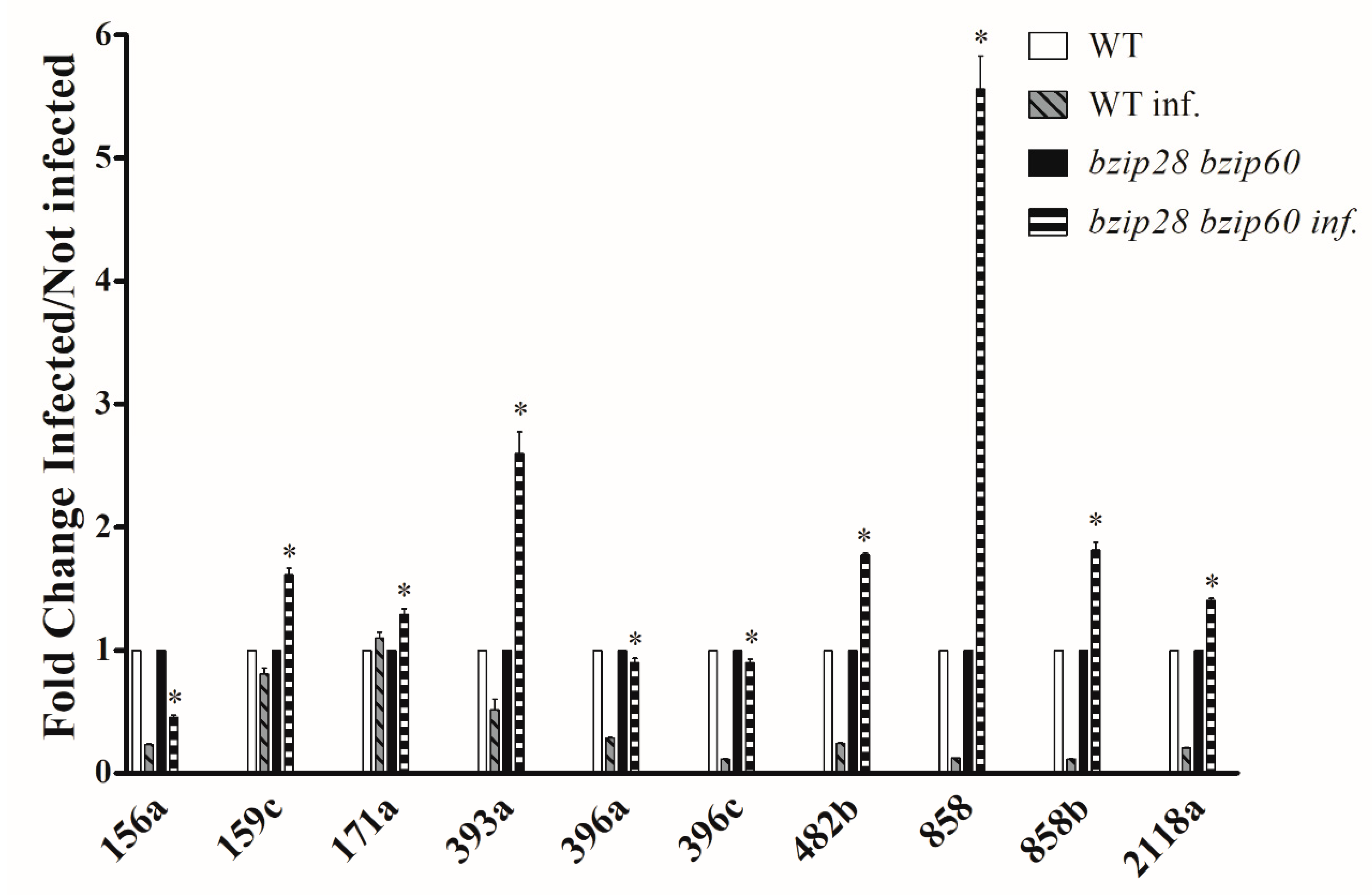 Biomolecules 11 00240 g009 Biomolecules 11 00240 g009