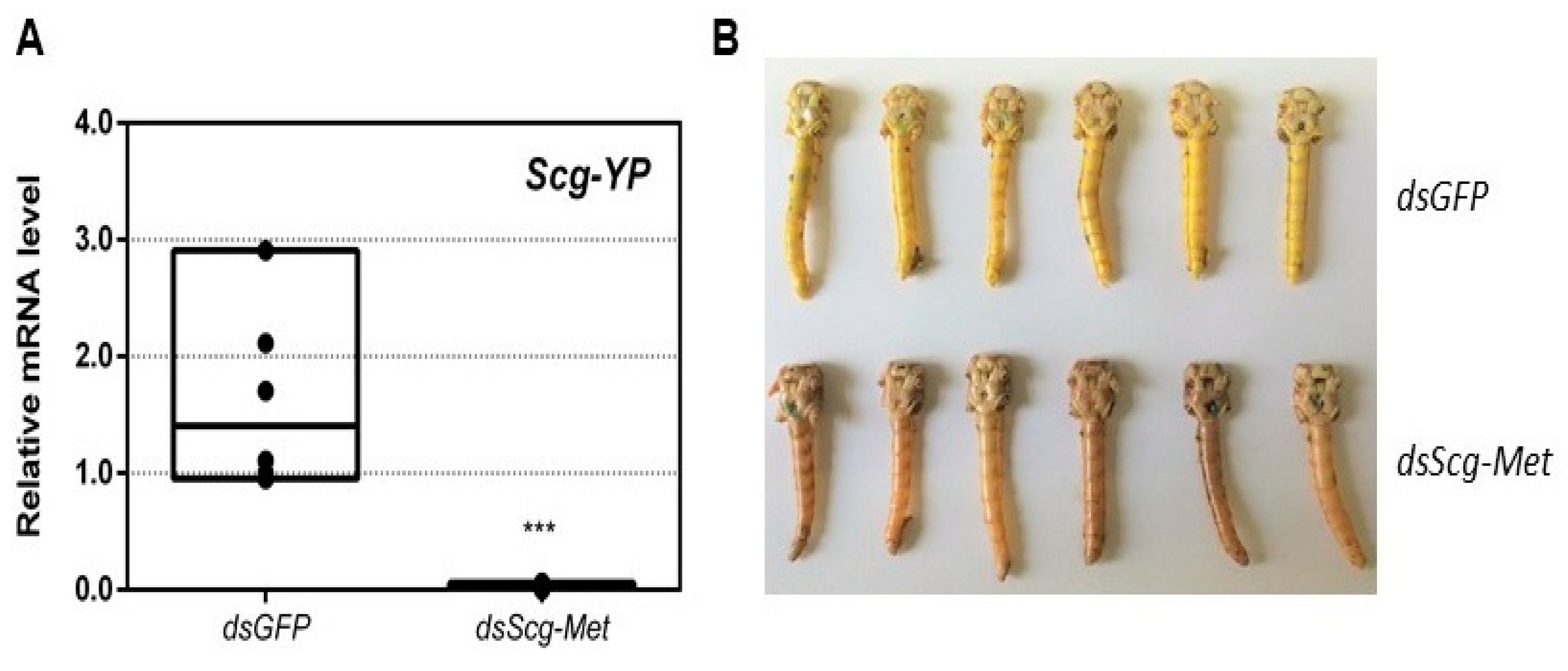 Biomolecules 11 00244 g003 Biomolecules 11 00244 g003