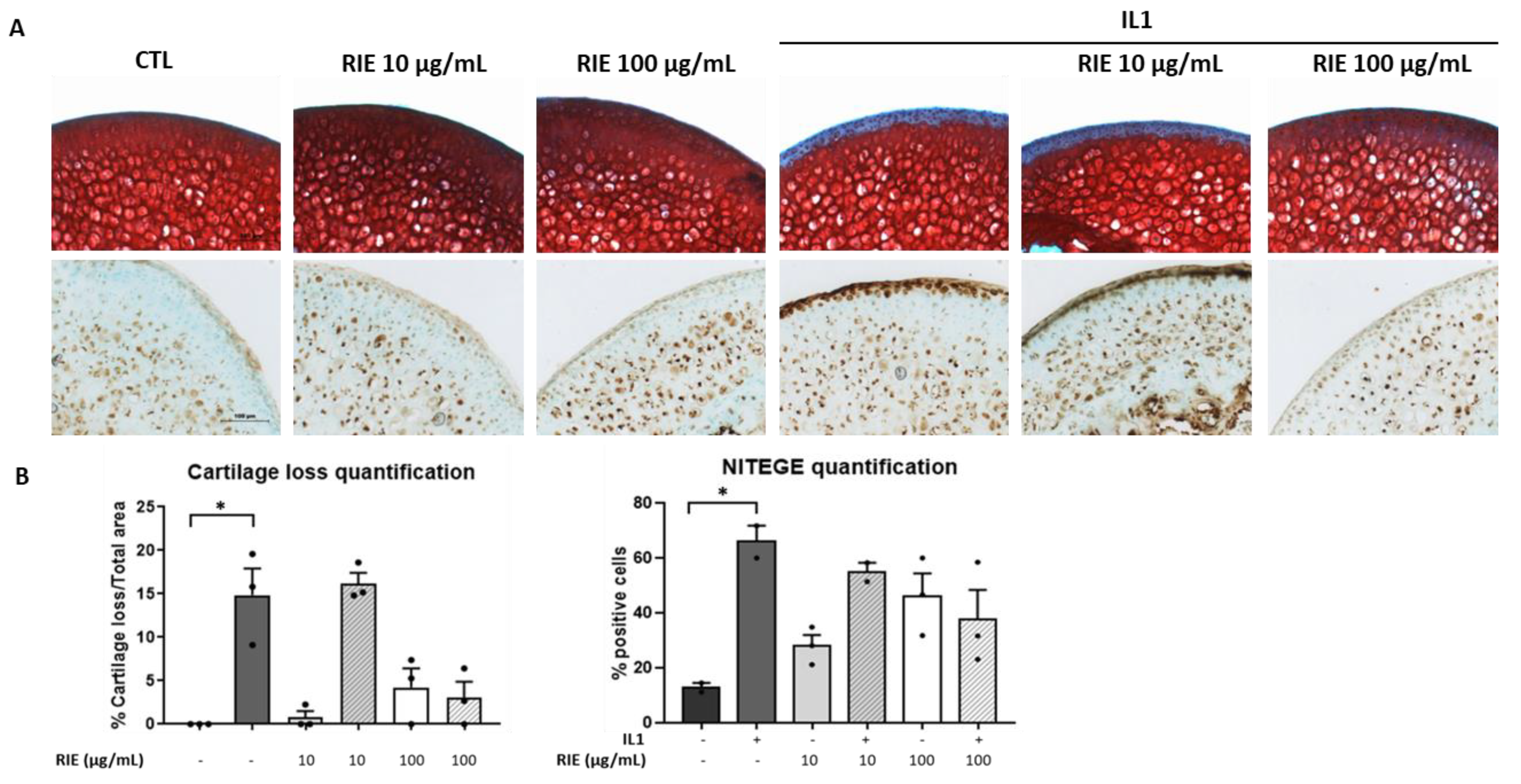 Biomolecules 11 00245 g002
