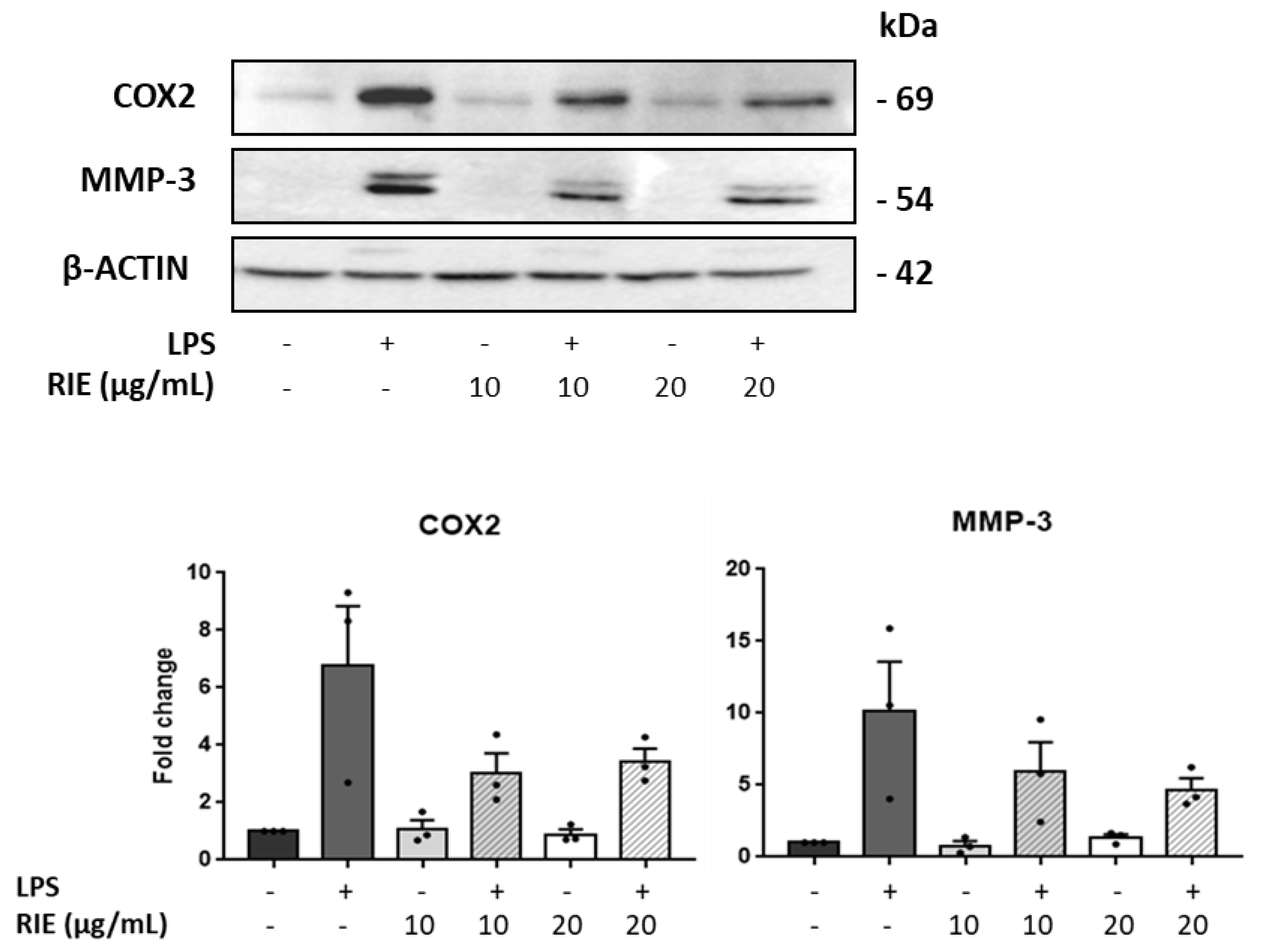 Biomolecules 11 00245 g005