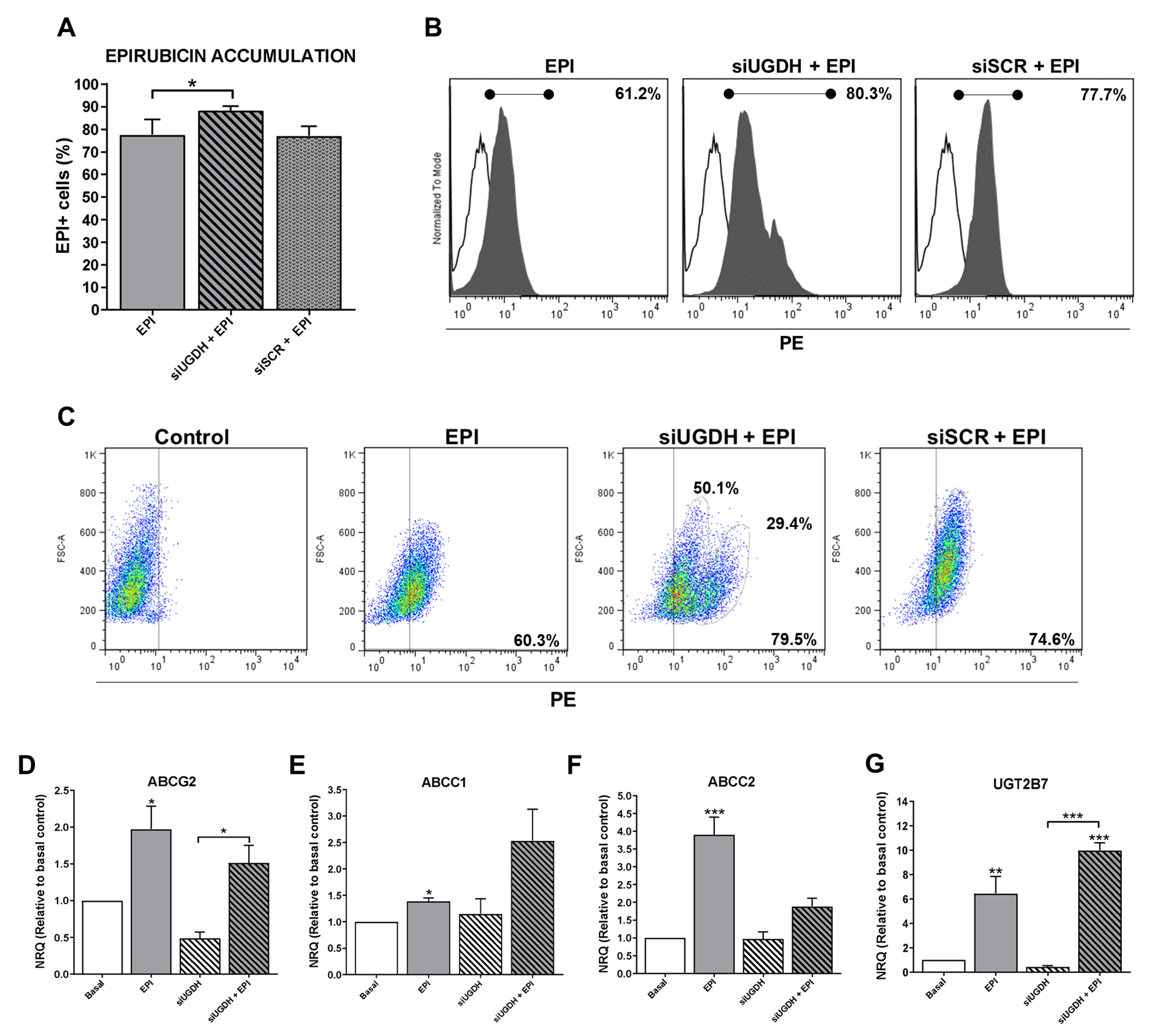 Biomolecules 11 00246 g004
