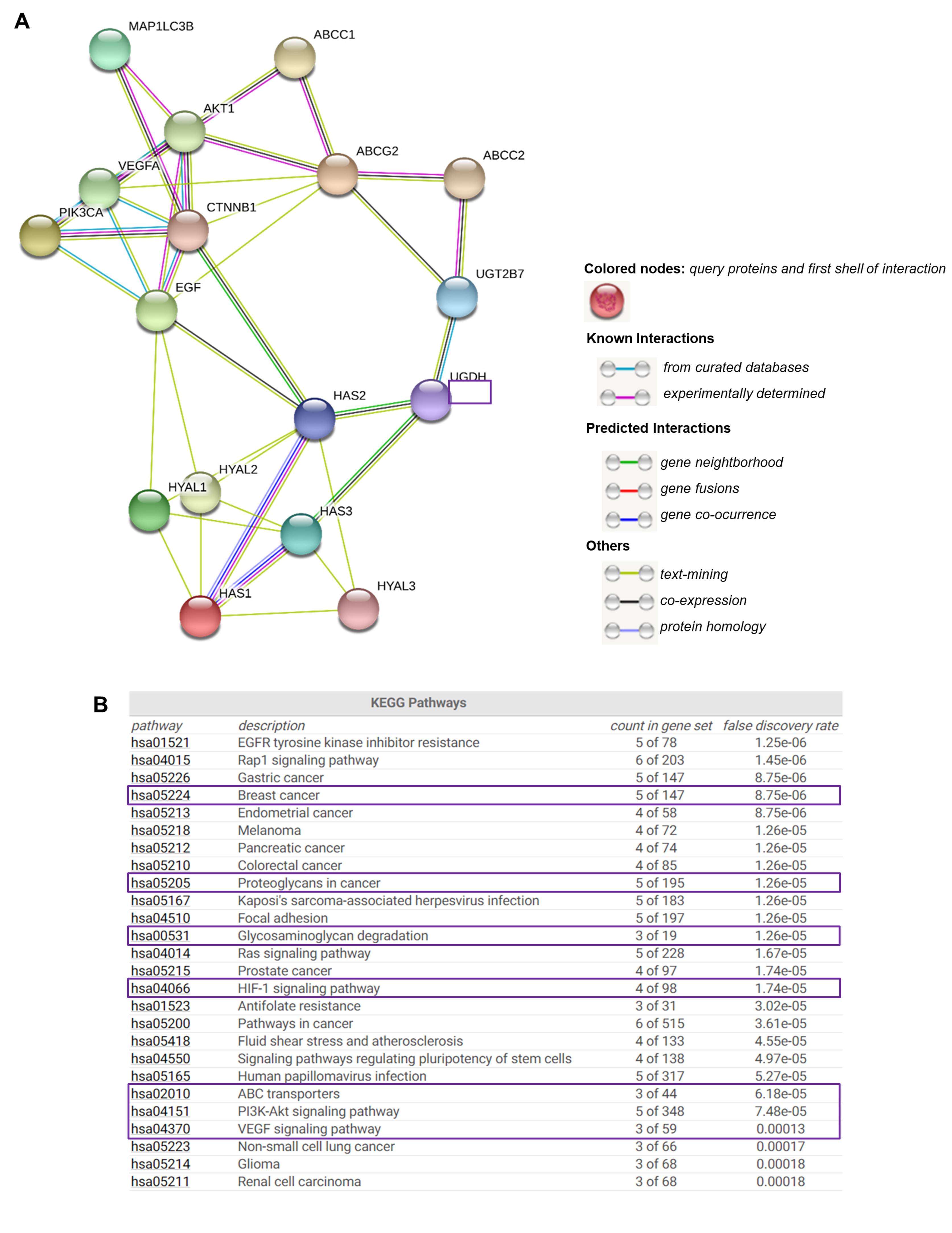 Biomolecules 11 00246 g008