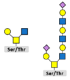 Post-Translational Modifications That Drive Prostate Cancer