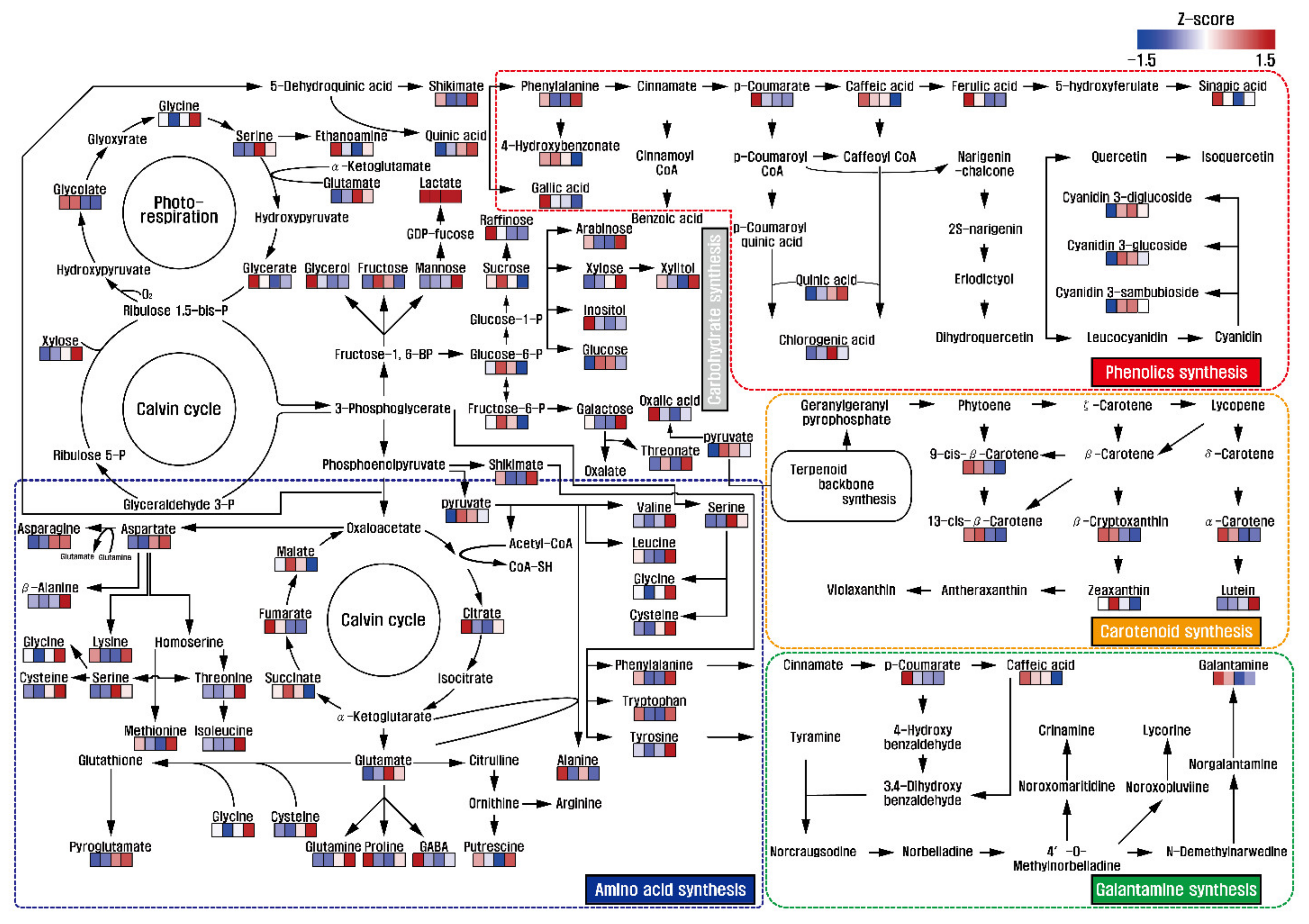 Biomolecules 11 00248 g002