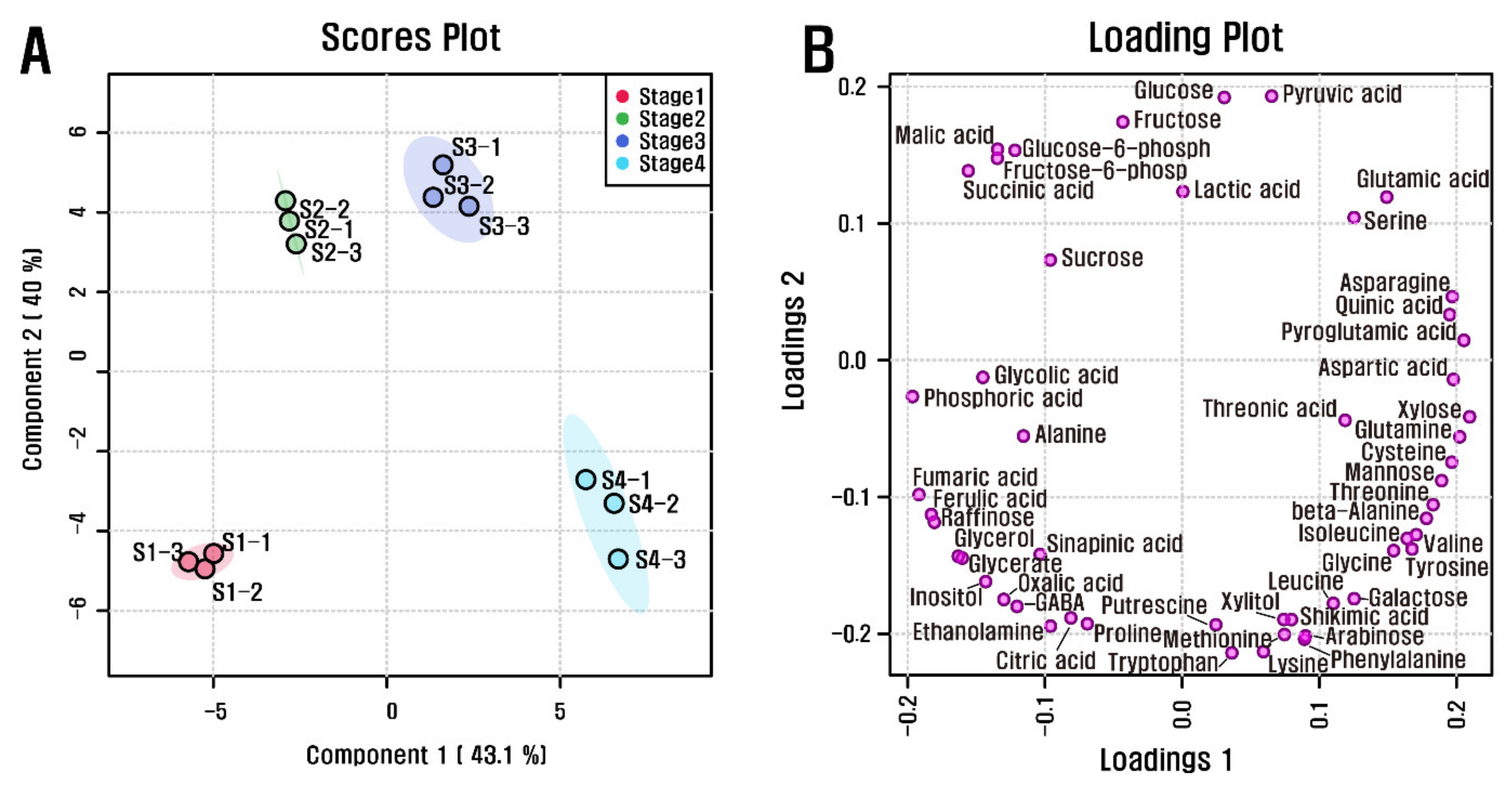 Biomolecules 11 00248 g003
