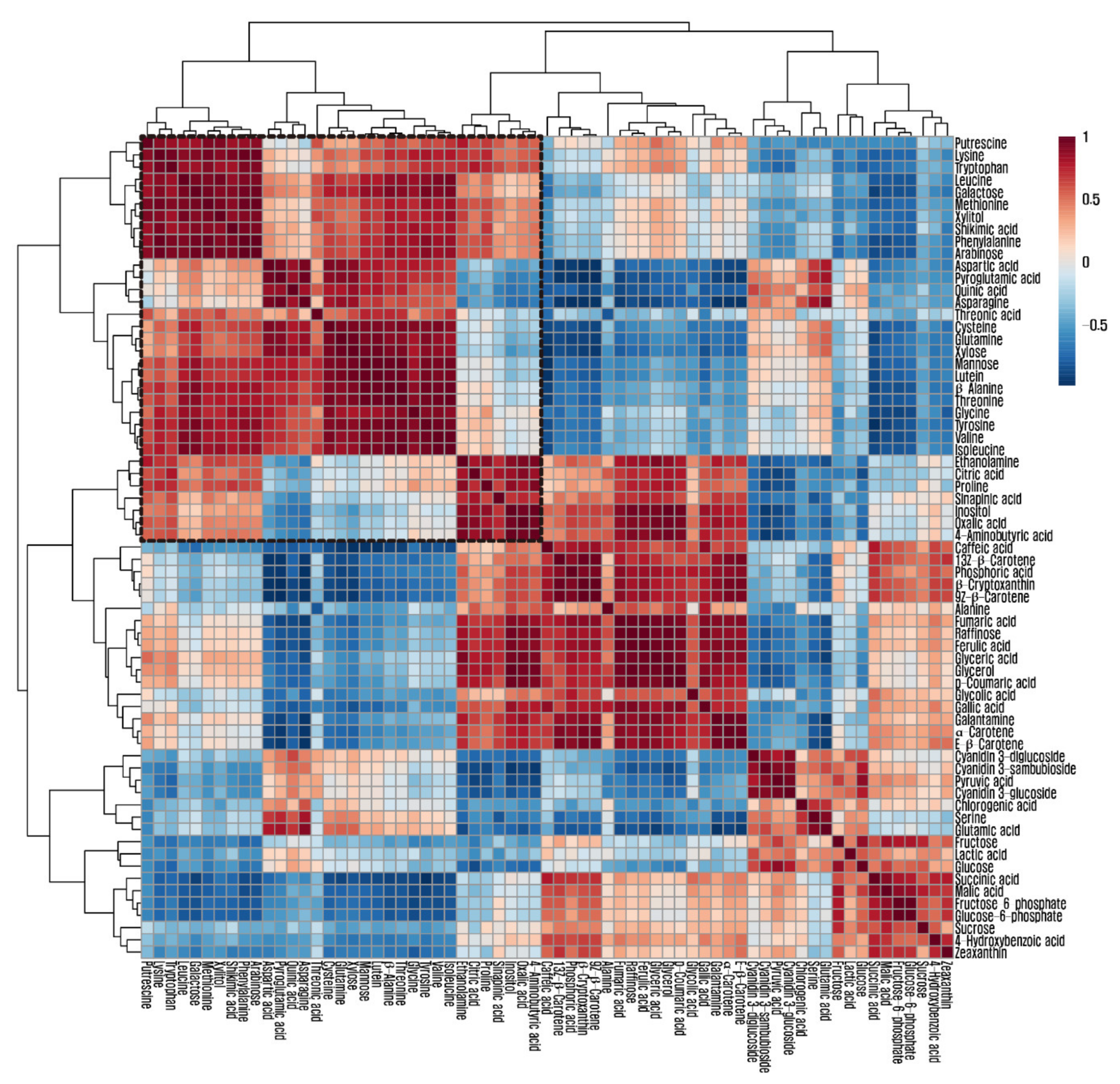 Biomolecules 11 00248 g004