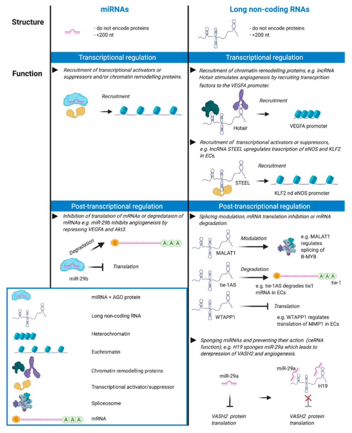 Biomolecules 11 00249 g001