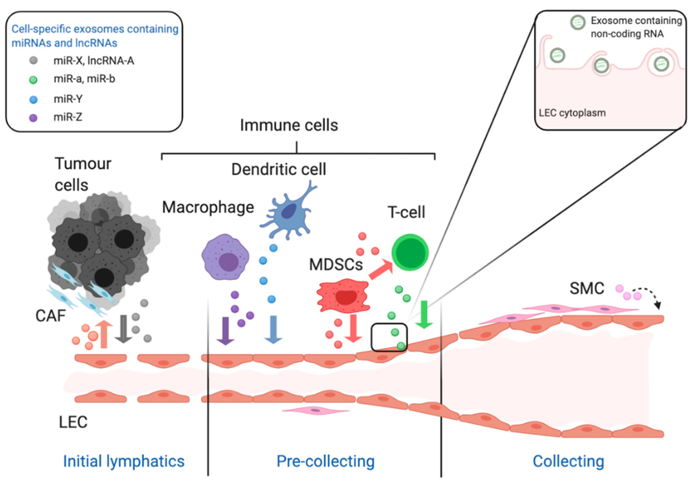 Biomolecules 11 00249 g002