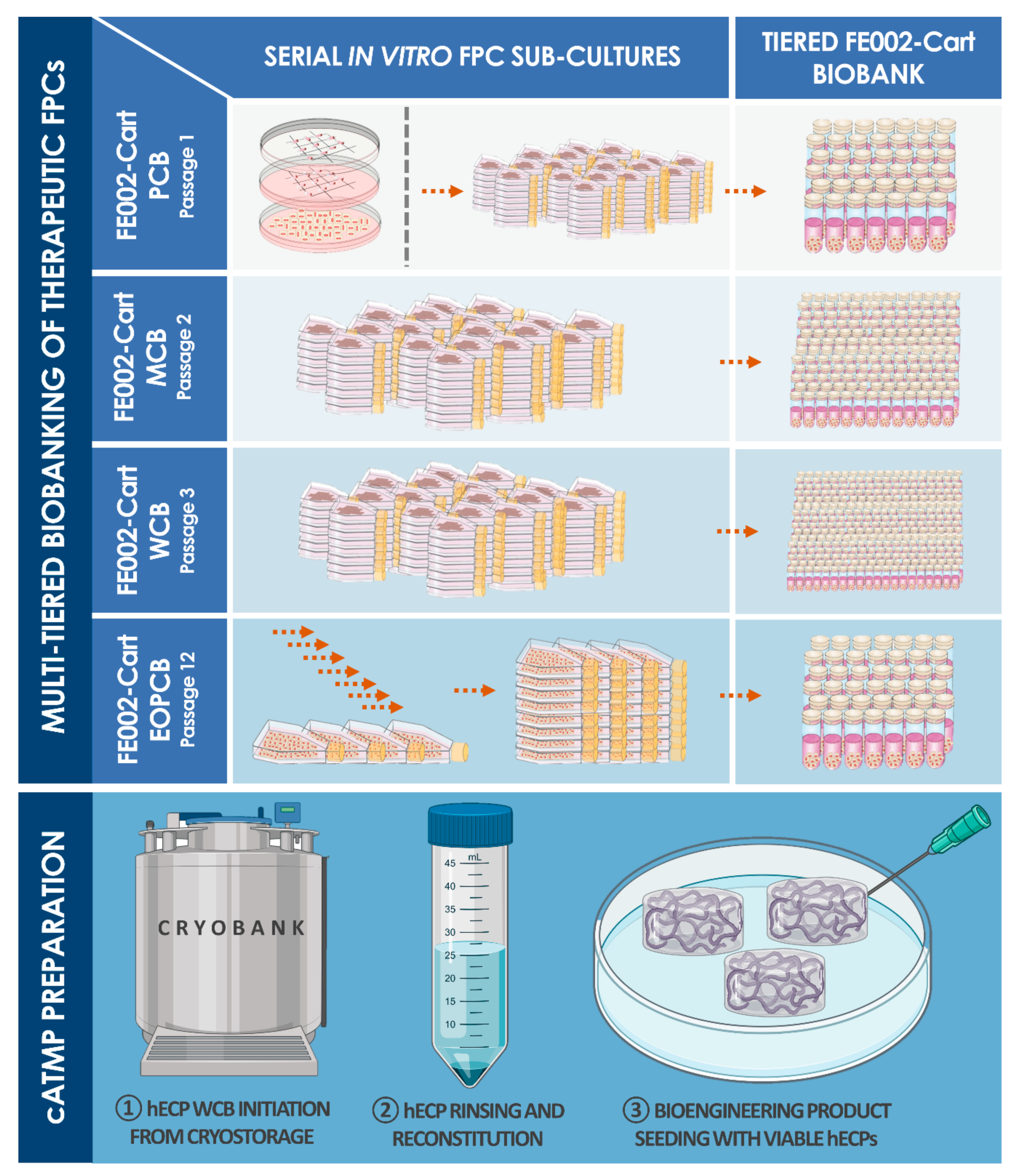 Biomolecules 11 00250 g002 Biomolecules 11 00250 g002
