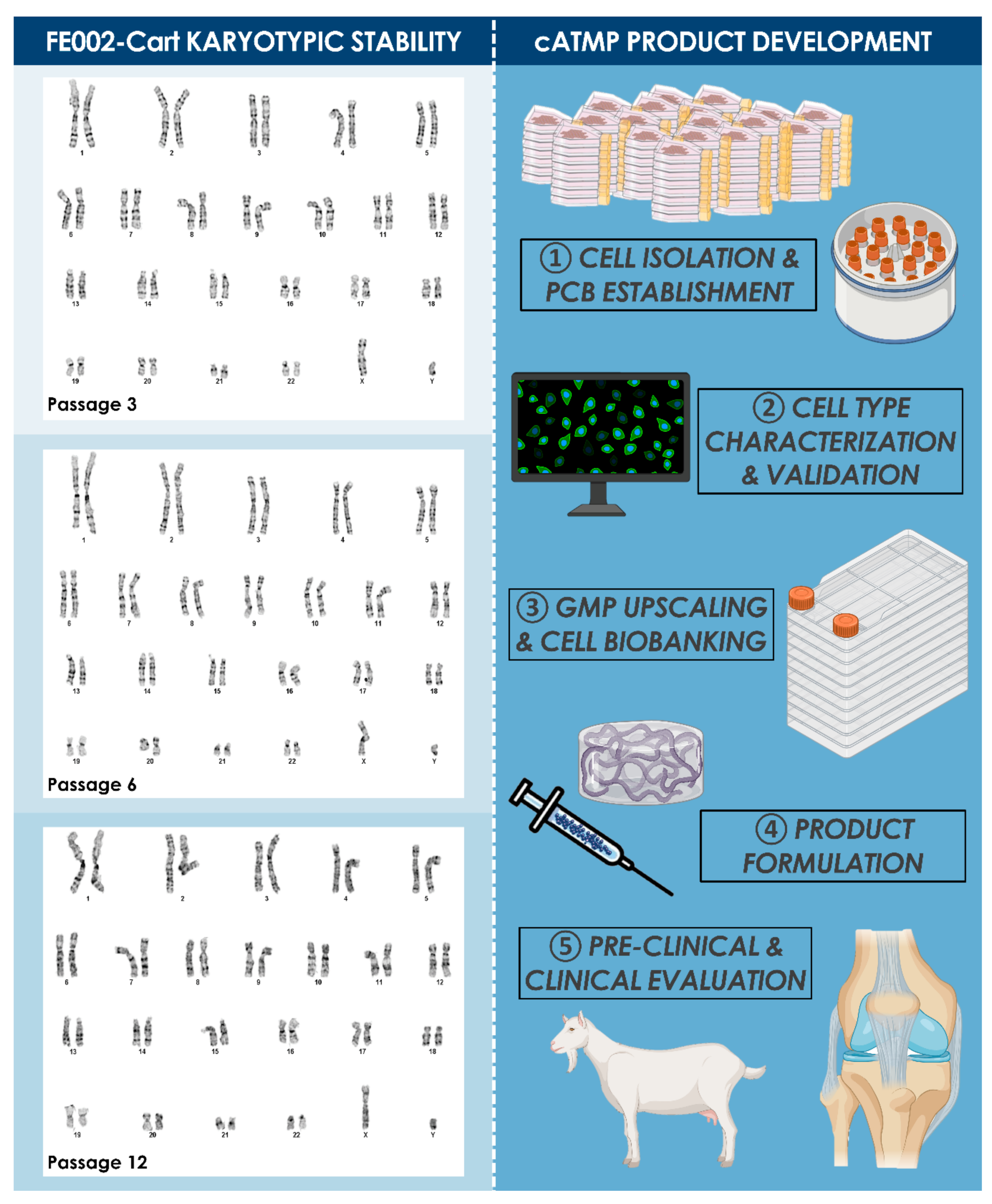 Biomolecules 11 00250 g003 Biomolecules 11 00250 g003