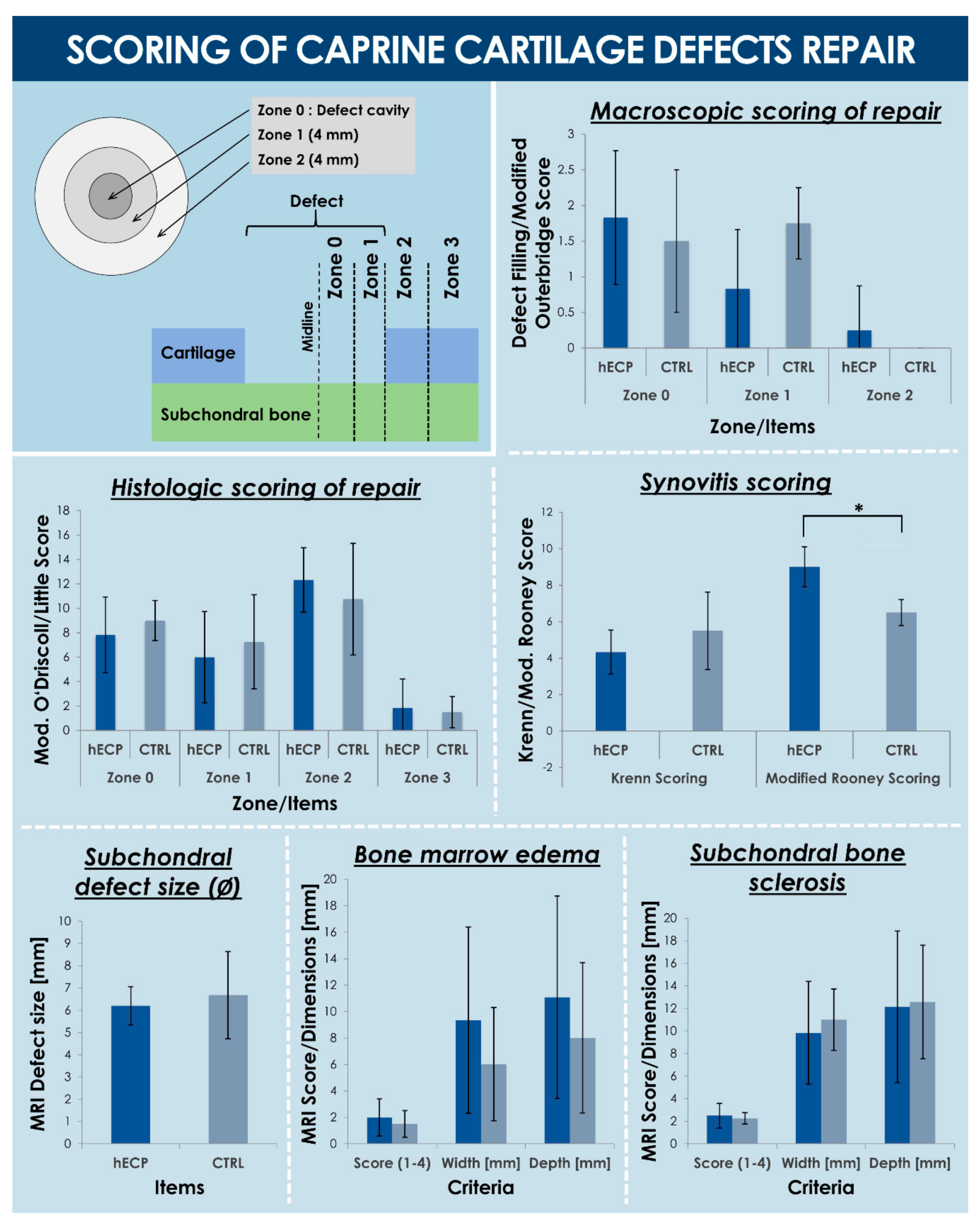 Biomolecules 11 00250 g006 Biomolecules 11 00250 g006